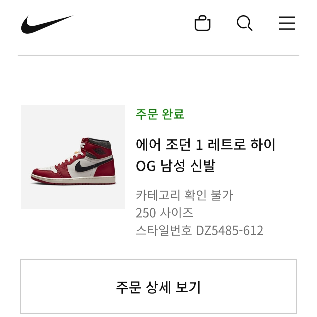 Jordan 1 Retro High OG Chicago 2022 착용 스타일