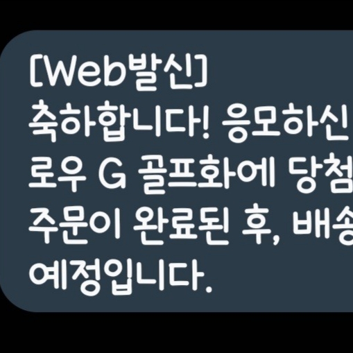 Jordan 1 Low Golf Wolf Grey 착용 스타일 - 4