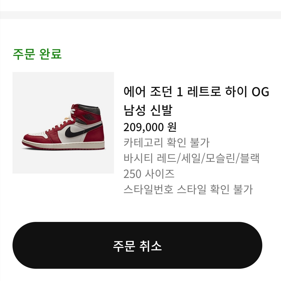 Jordan 1 Retro High OG Chicago 2022 착용 스타일