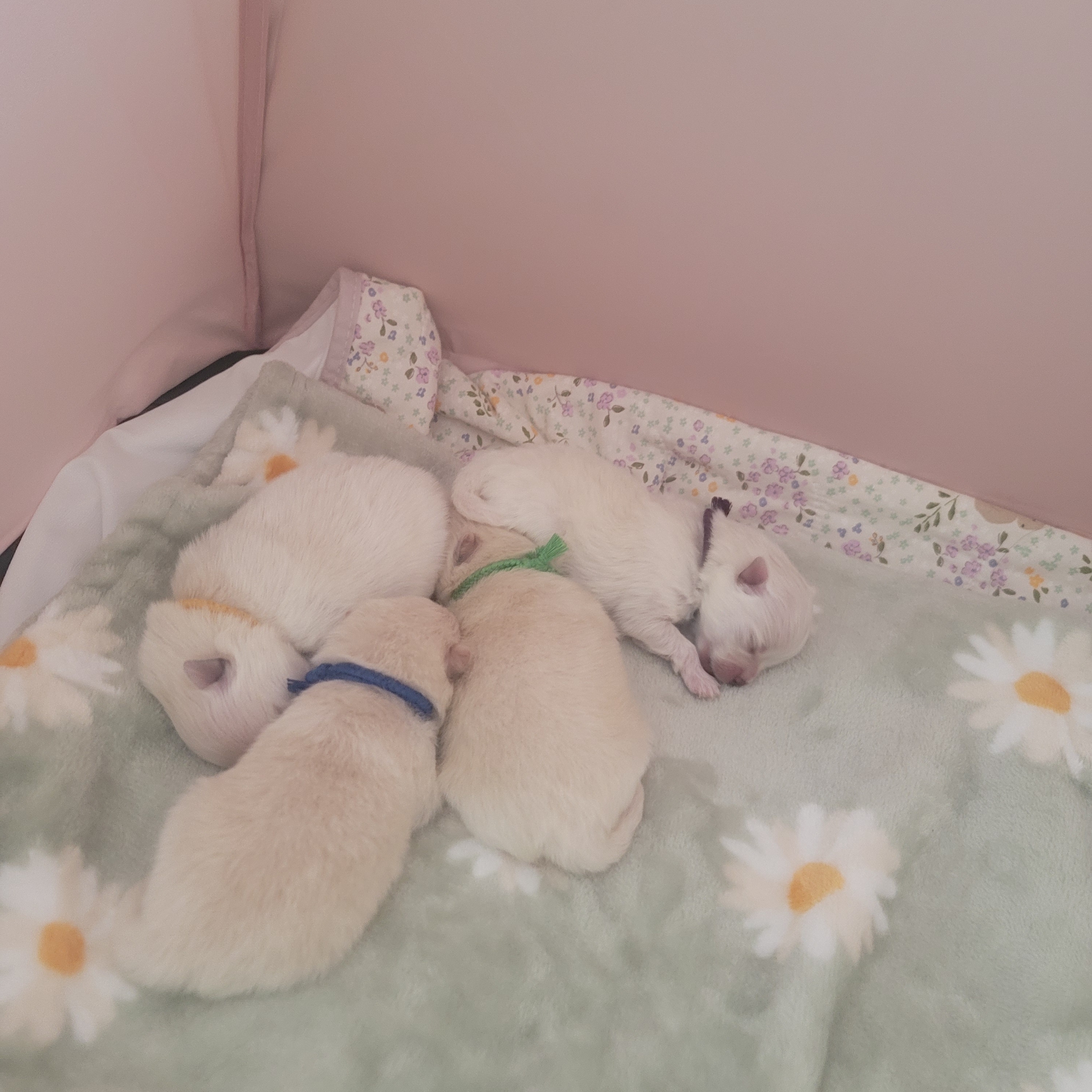 김성록님의 스타일