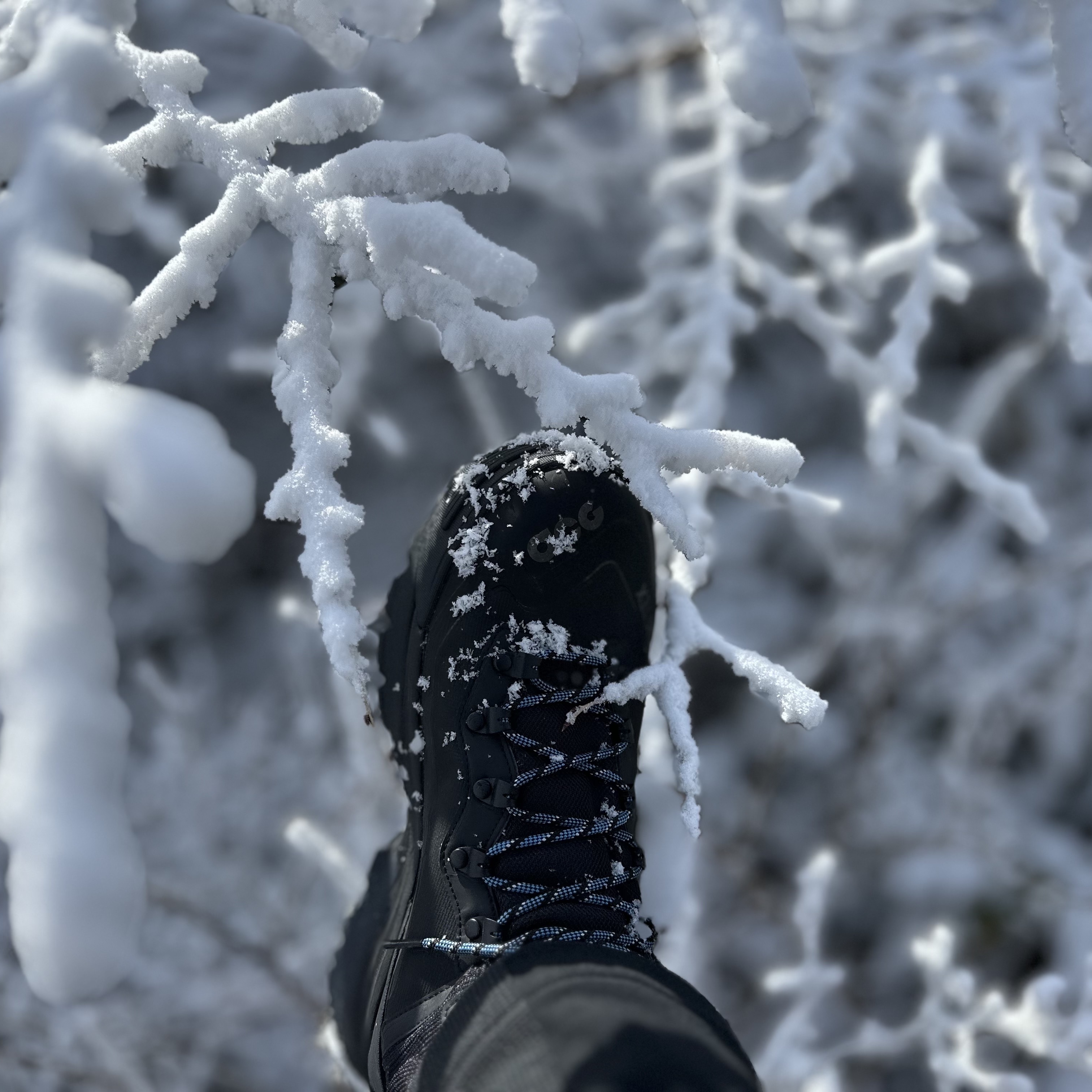 Nike ACG Air Zoom Gaiadome Gore-Tex Black 착용 스타일 - 2