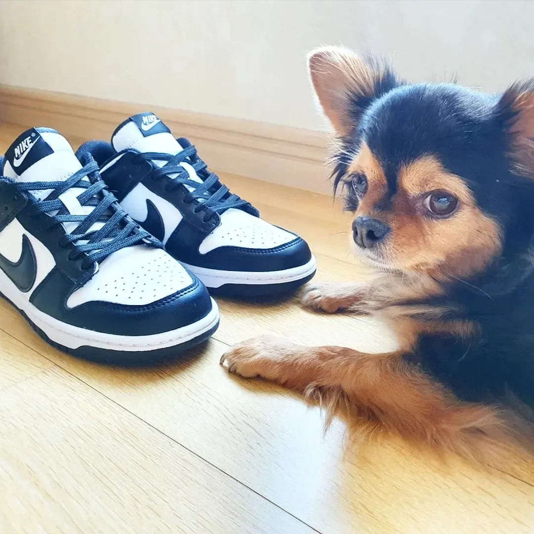 Nike Dunk Low Retro Black 착용 스타일 - 4