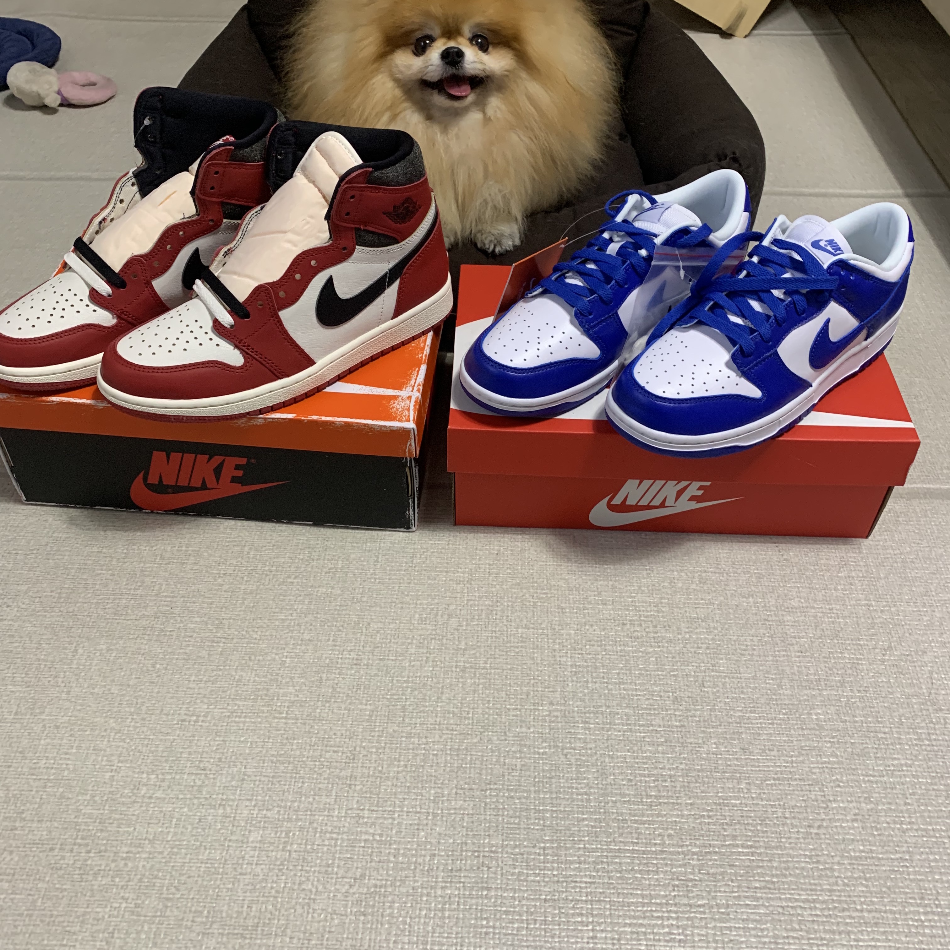 Jordan 1 Retro High OG Chicago 2022, Nike Dunk Low SP Kentucky 2022 착용 스타일
