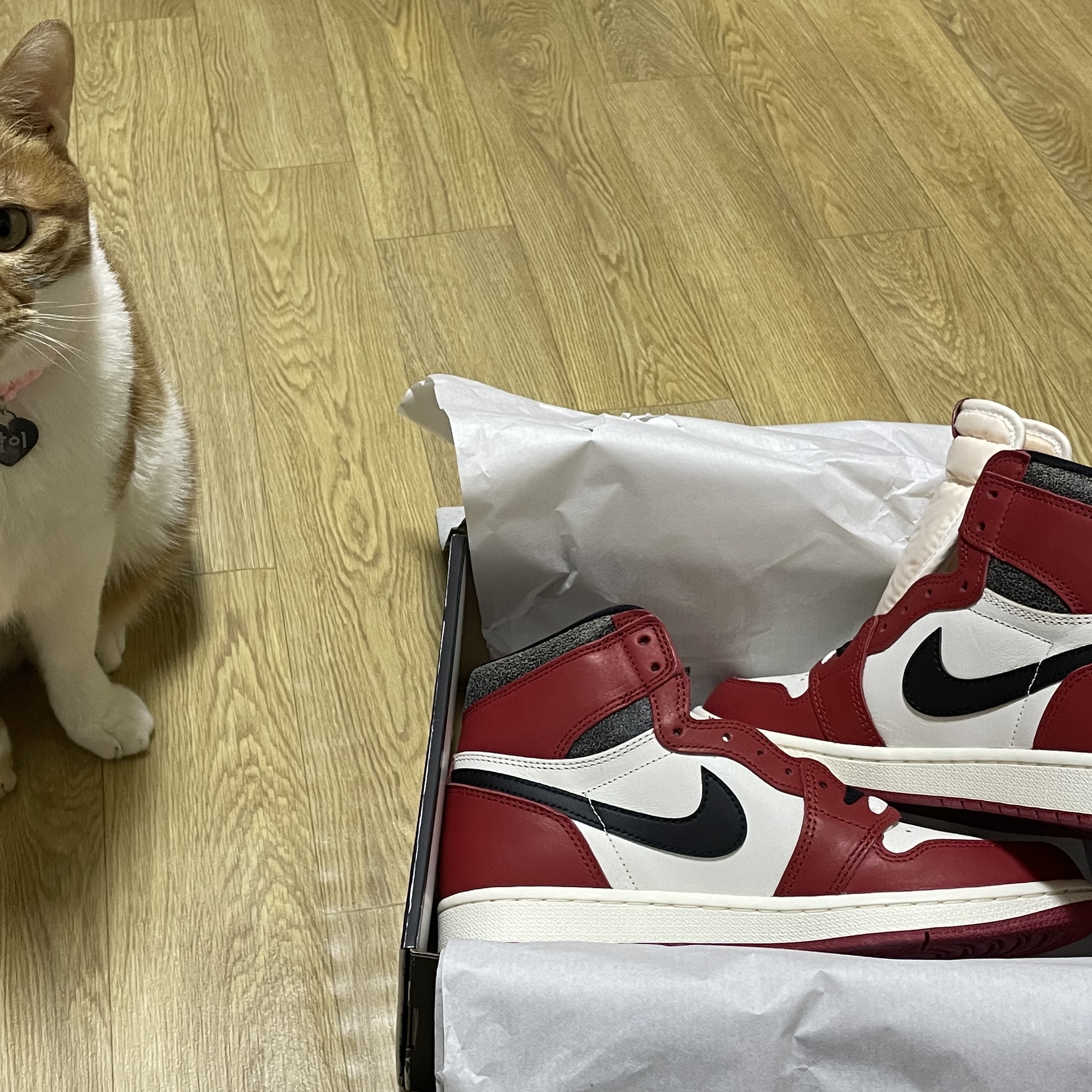 Jordan 1 Retro High OG Chicago 2022 착용 스타일