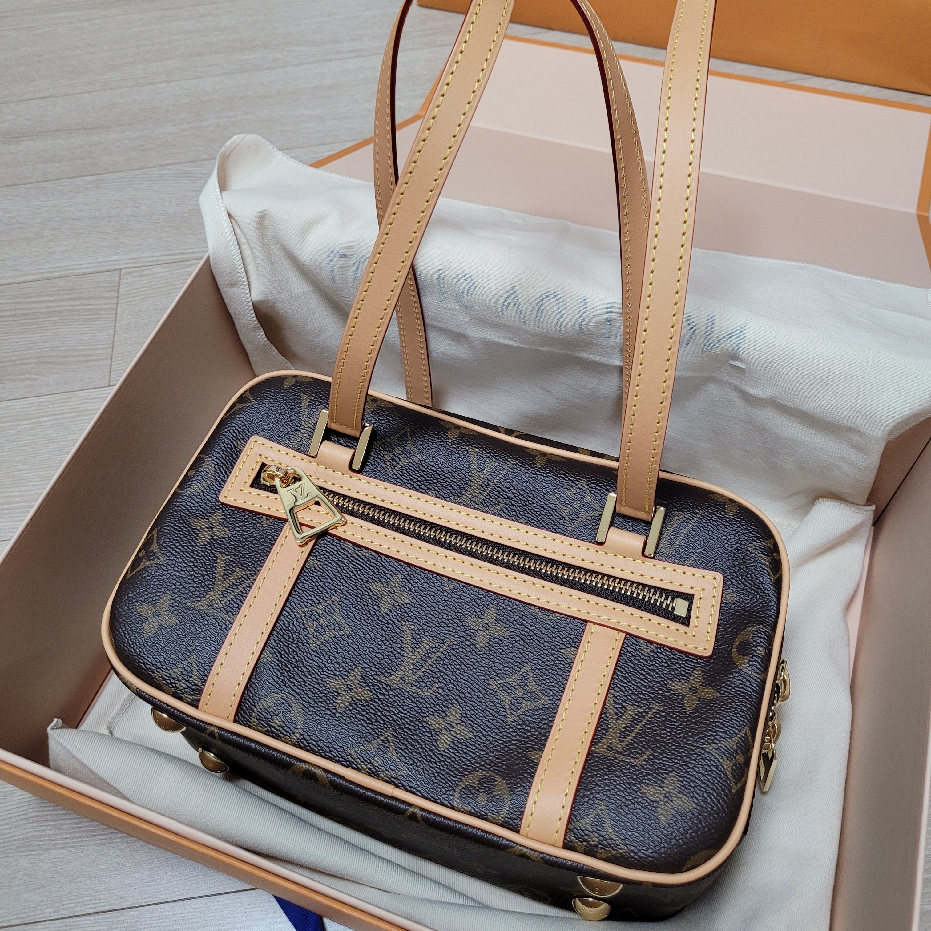 Louis Vuitton Cite Bag Monogram 착용 스타일 - 2