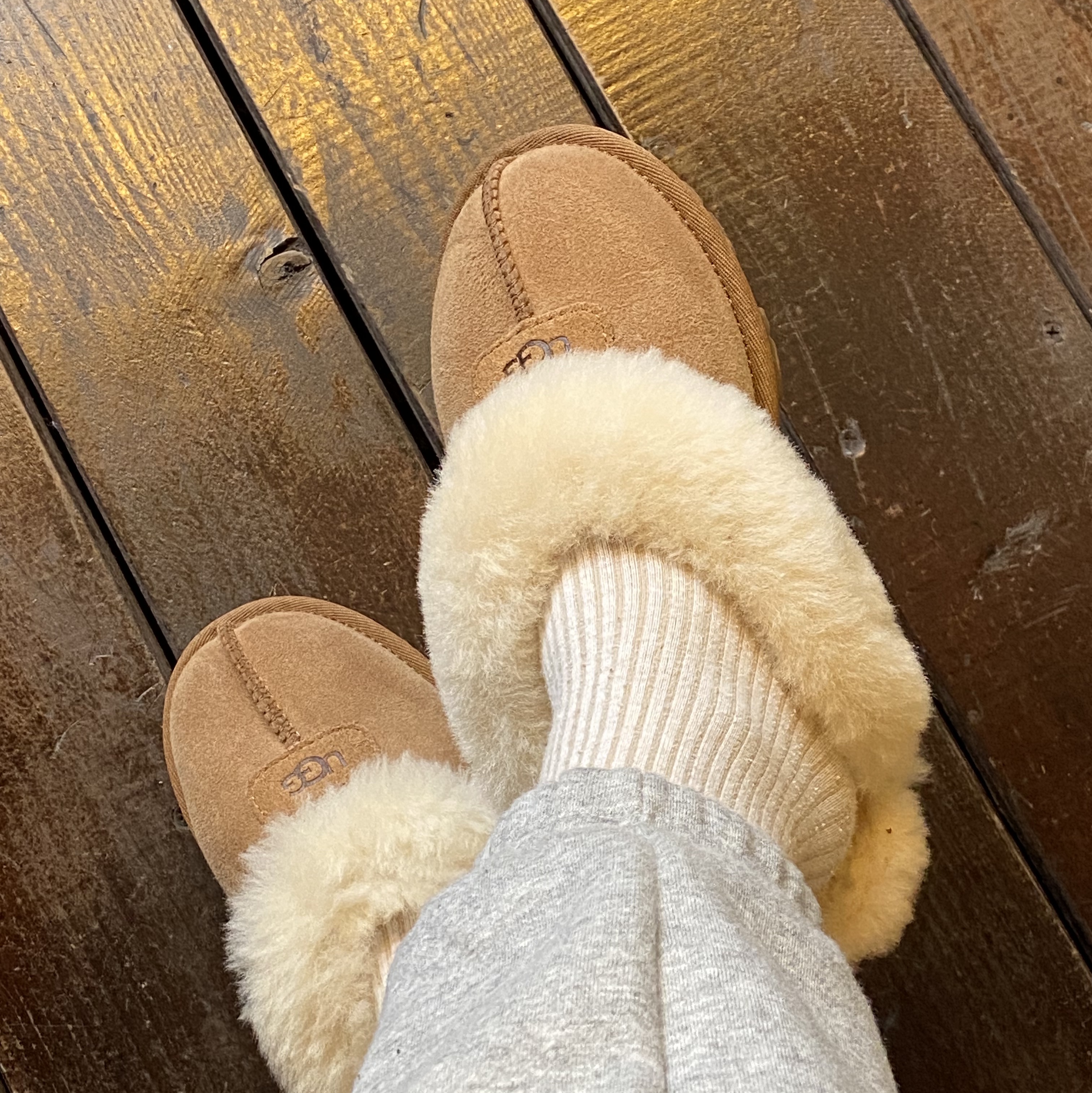 (W) UGG Coquette Slipper Chestnut 착용 스타일