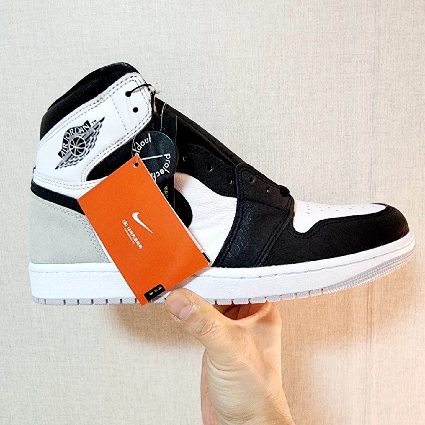 Jordan 1 Retro High OG Bleached Coral 착용 스타일 - 1