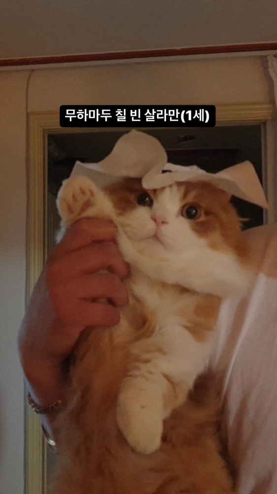 KREAM 프로필 이미지