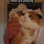 KREAM 프로필 이미지