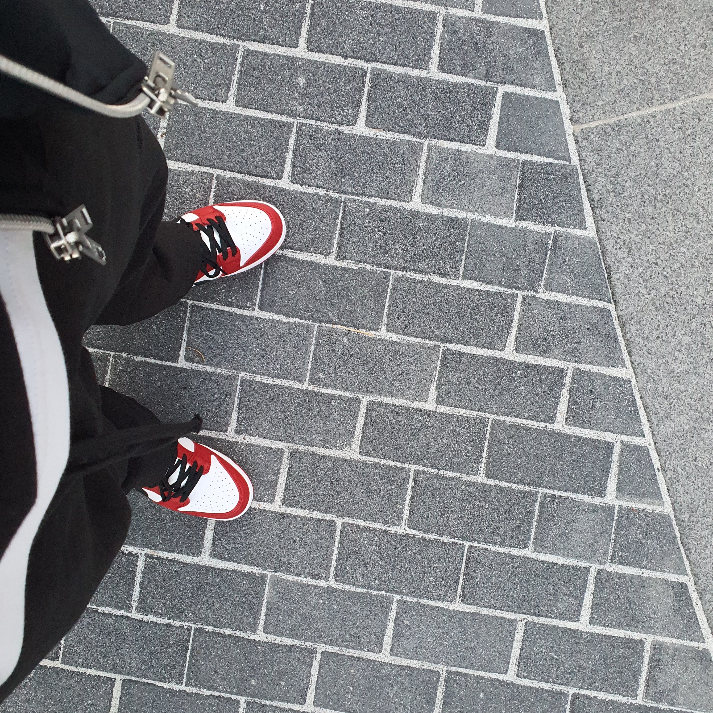 Nike SB Dunk Low Pro Chicago 착용 스타일