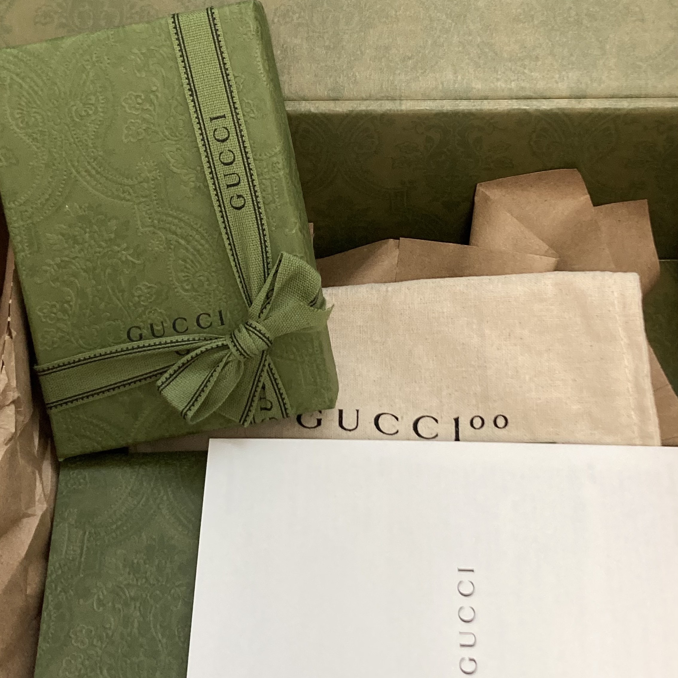 Gucci Ophidia GG Card Case Beige Ebony 착용 스타일 - 1