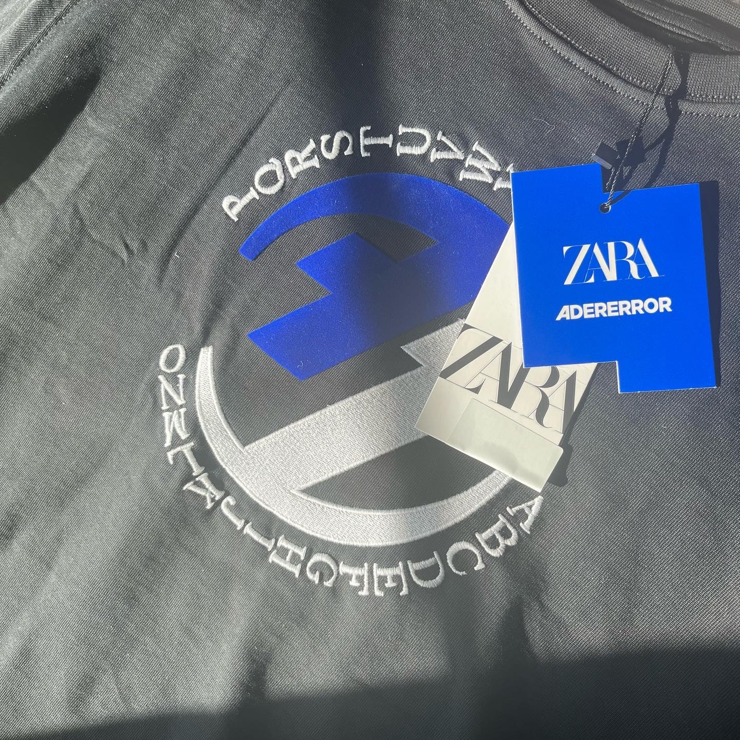 Zara x Ader Error Graphic T-Shirt Black 착용 스타일