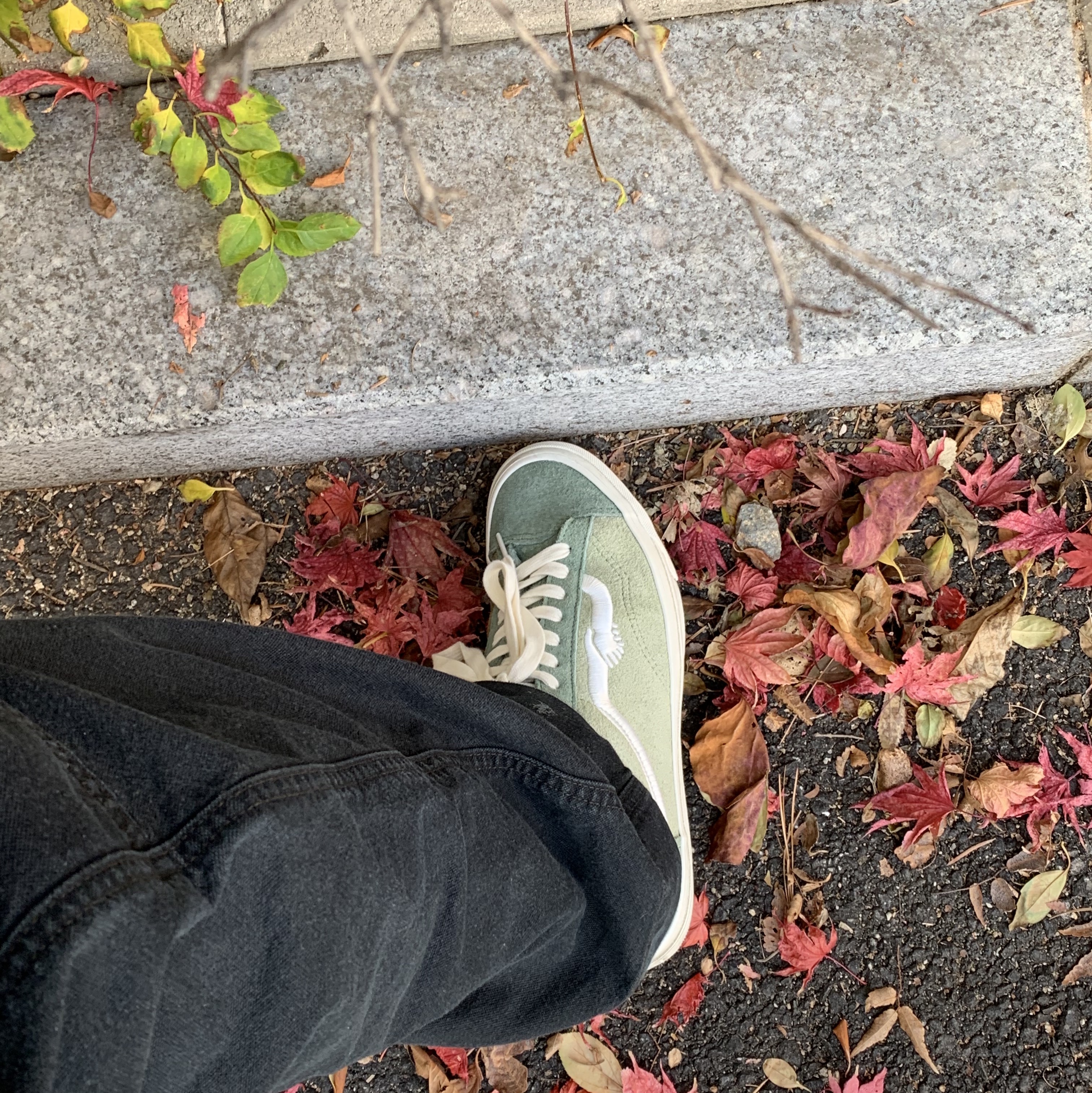 Vans Vault x Notre OG Style 36 LX Green 착용 스타일
