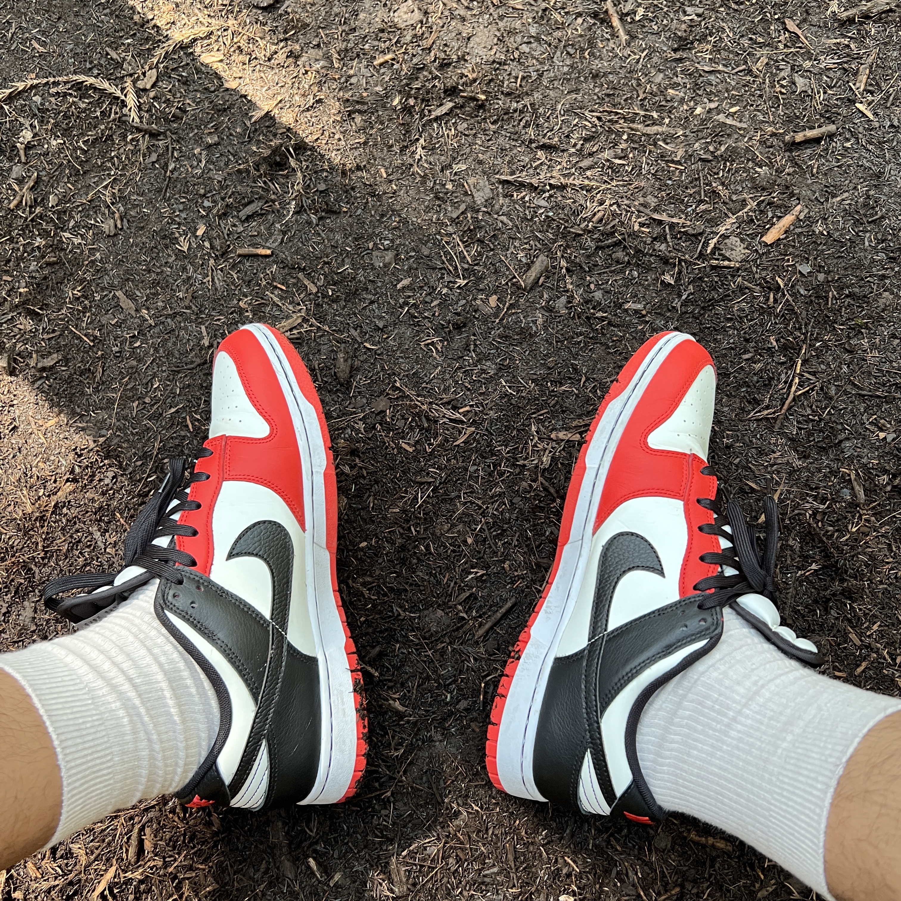 Nike x NBA Dunk Low Retro EMB Black and Chile Red 착용 스타일