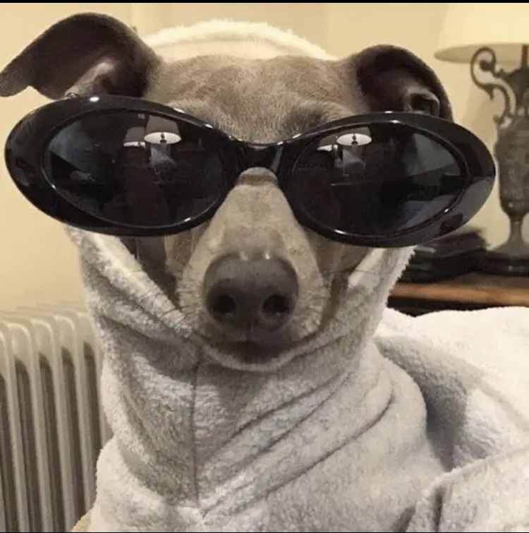 KREAM 프로필 이미지