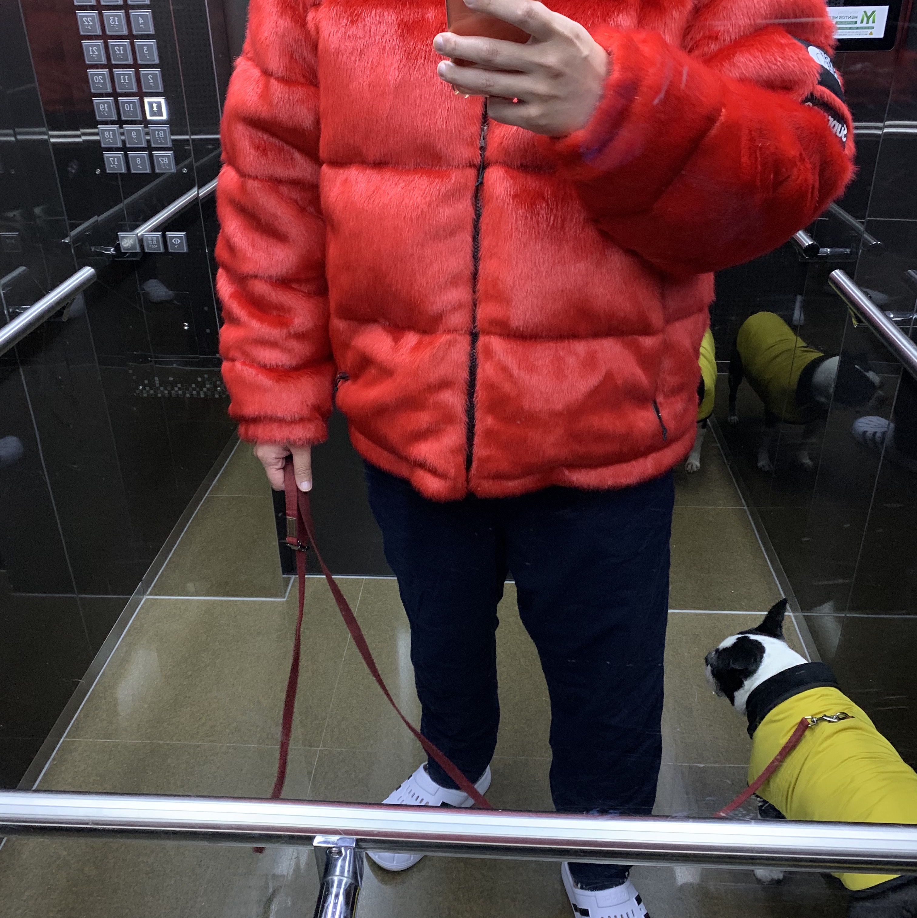 Supreme x The North Face Faux Fur Nuptse Jacket Red - 20FW 착용 스타일