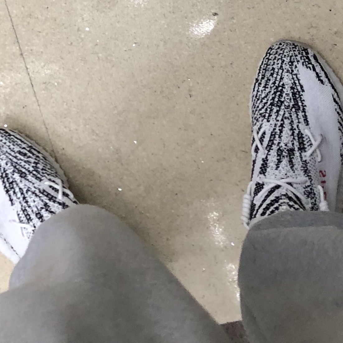 Adidas Yeezy Boost 350 V2 Zebra 2017/2019/2020 착용 스타일 - 2