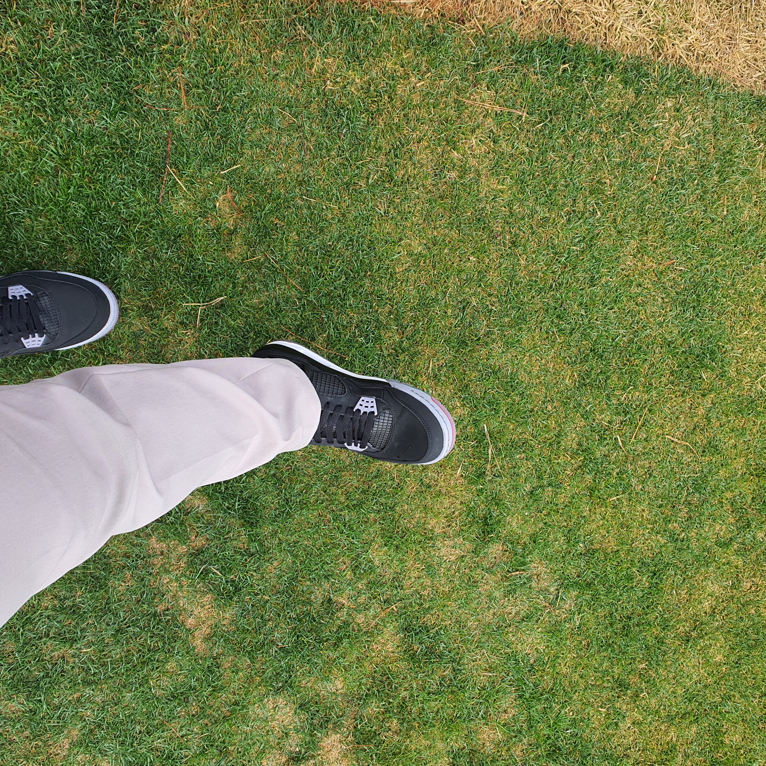 Jordan 4 Golf Bred 착용 스타일