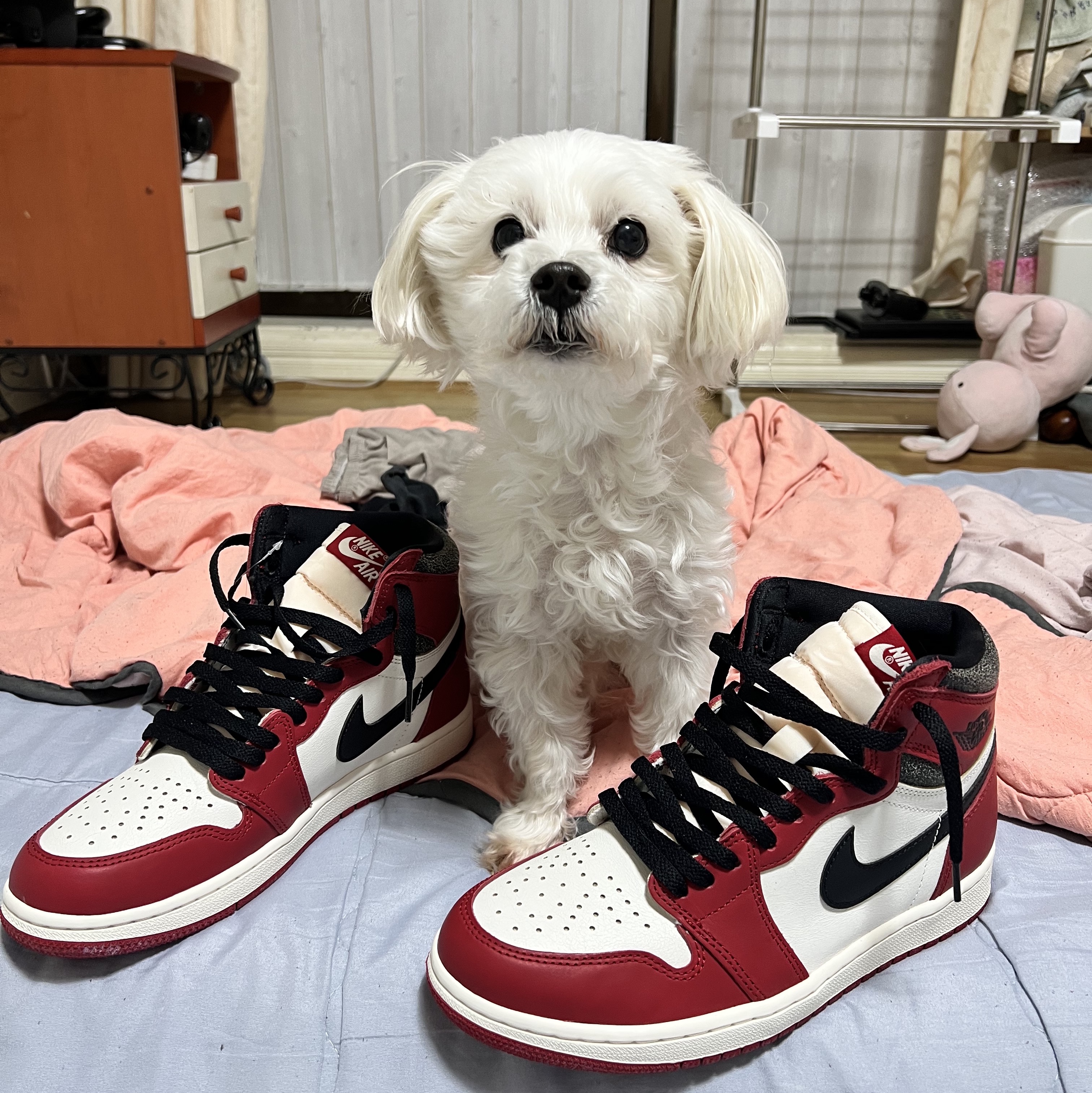 Jordan 1 Retro High OG Chicago 2022 착용 스타일 - 1