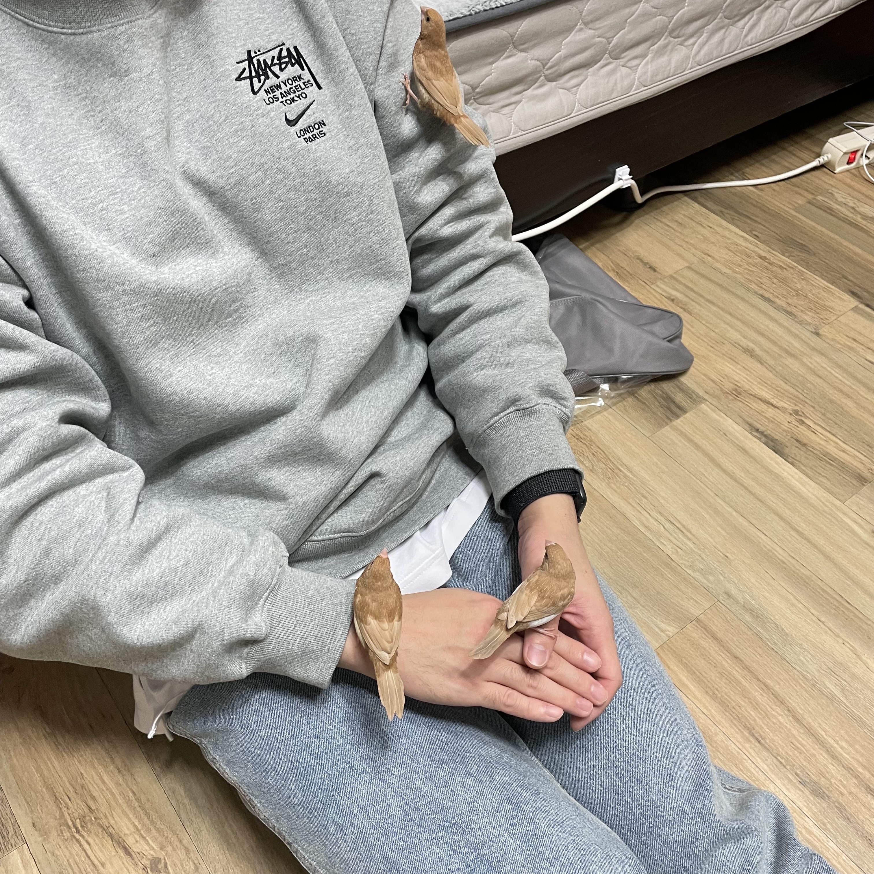 Nike x Stussy NRG ZR Fleece Crewneck Heather Grey - US/EU 착용 스타일