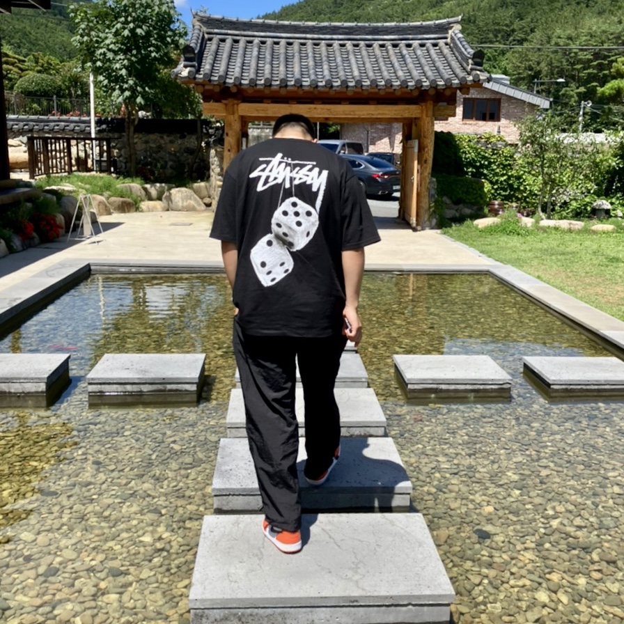 Stussy Fuzzy Dice T-Shirt Black, Jordan 1 Low OG Starfish 착용 스타일