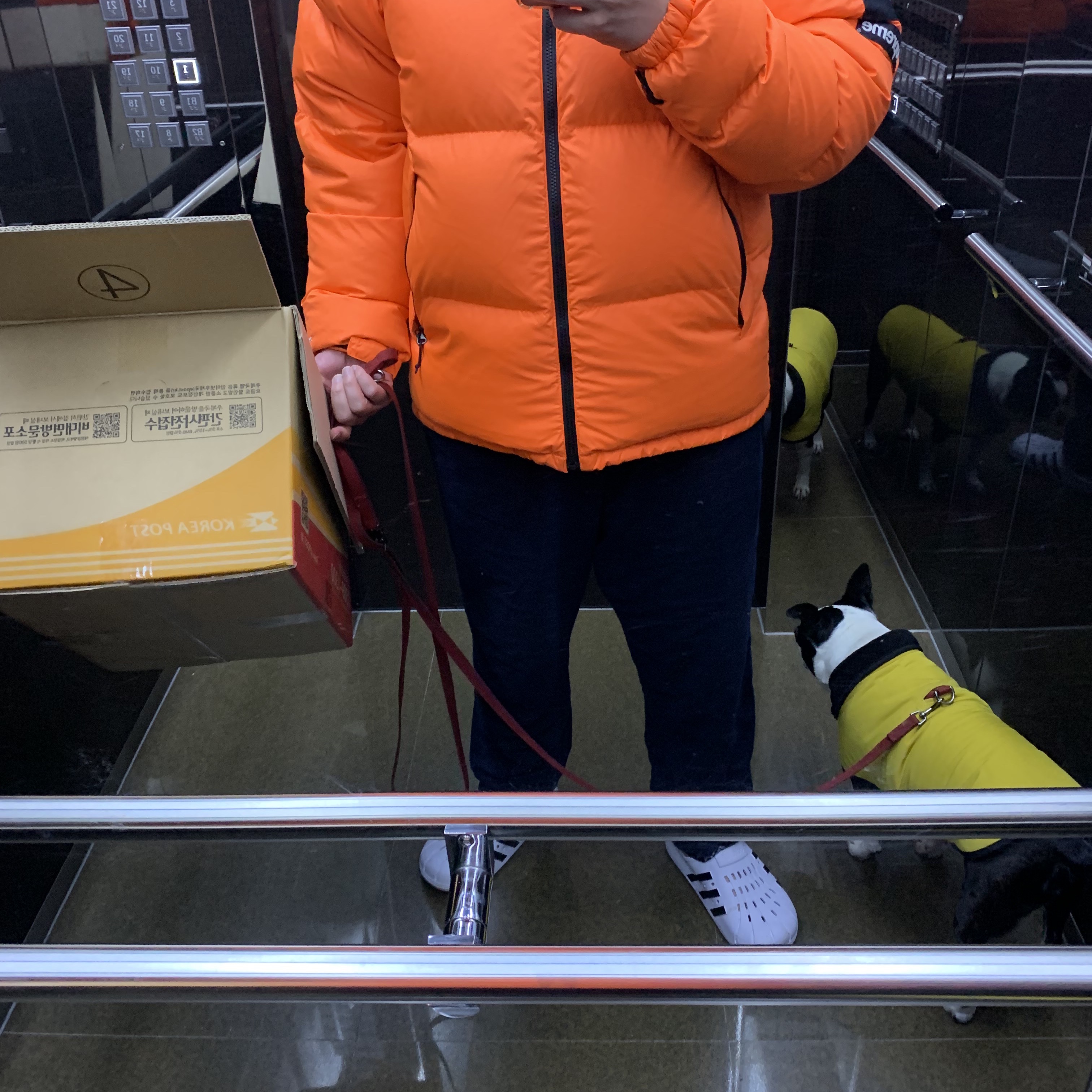 Supreme x The North Face Nuptse Orange - 16FW 착용 스타일