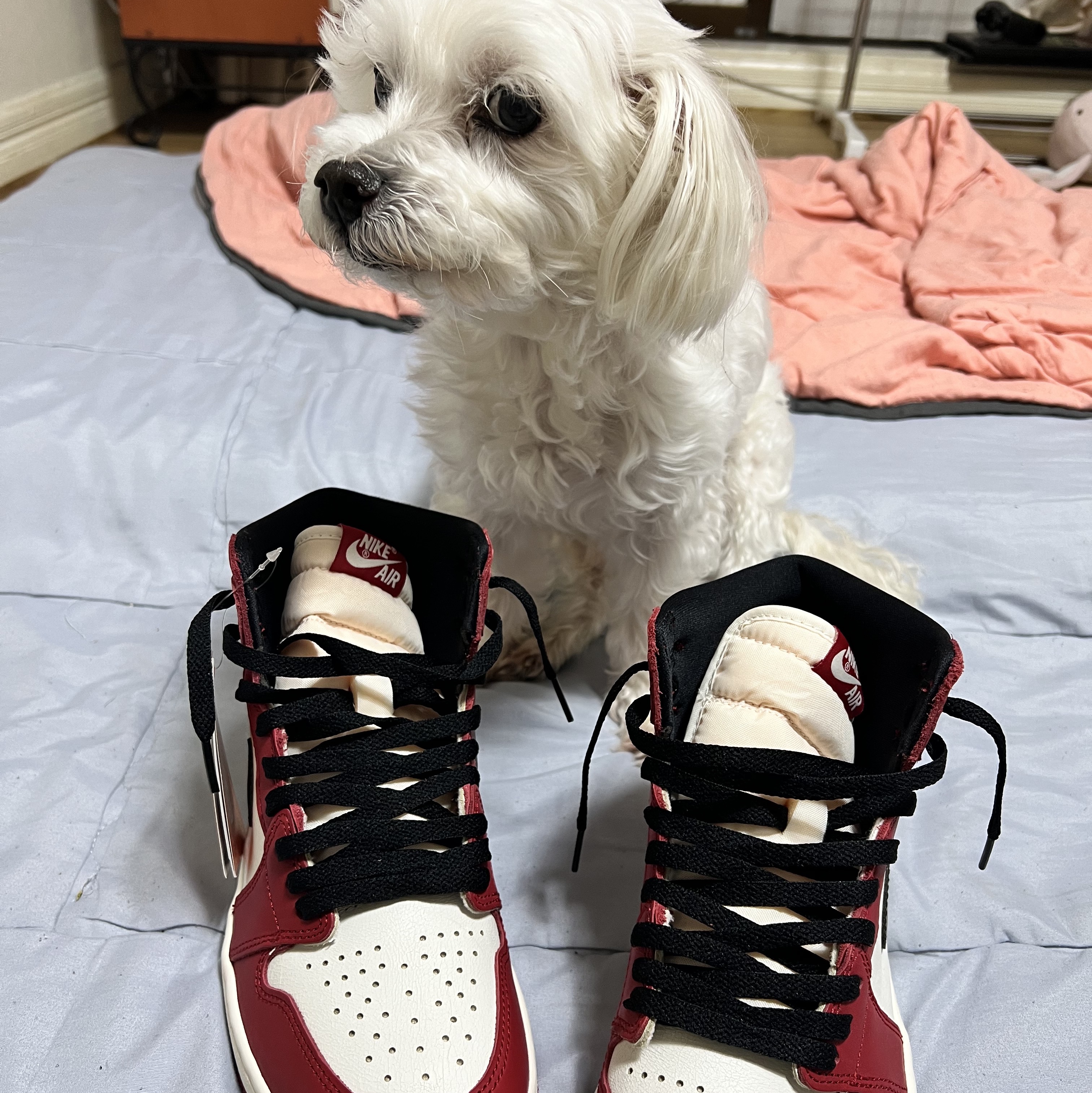 Jordan 1 Retro High OG Chicago 2022 착용 스타일 - 2