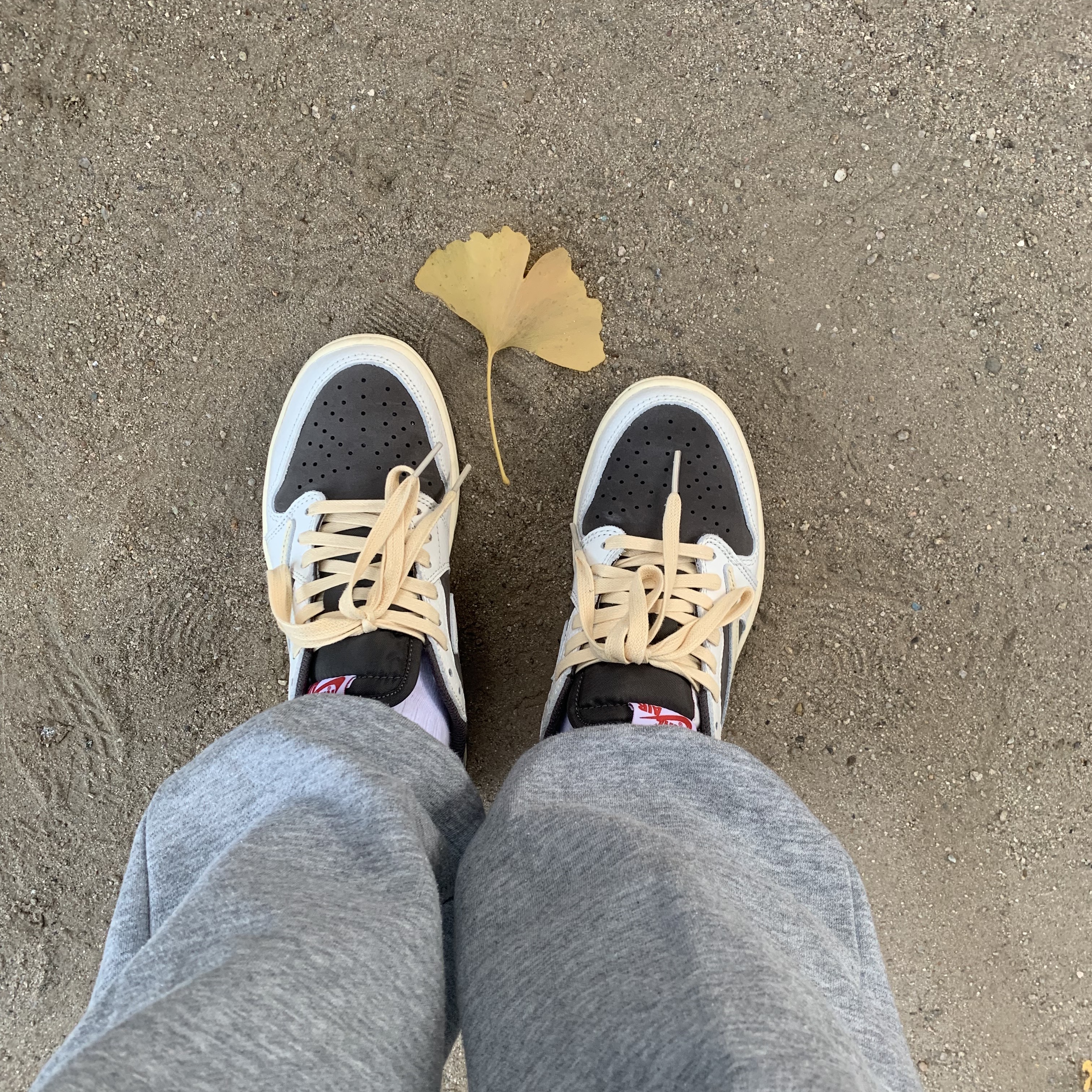 Jordan 1 x Travis Scott Retro Low OG SP Sail and Ridgerock 착용 스타일