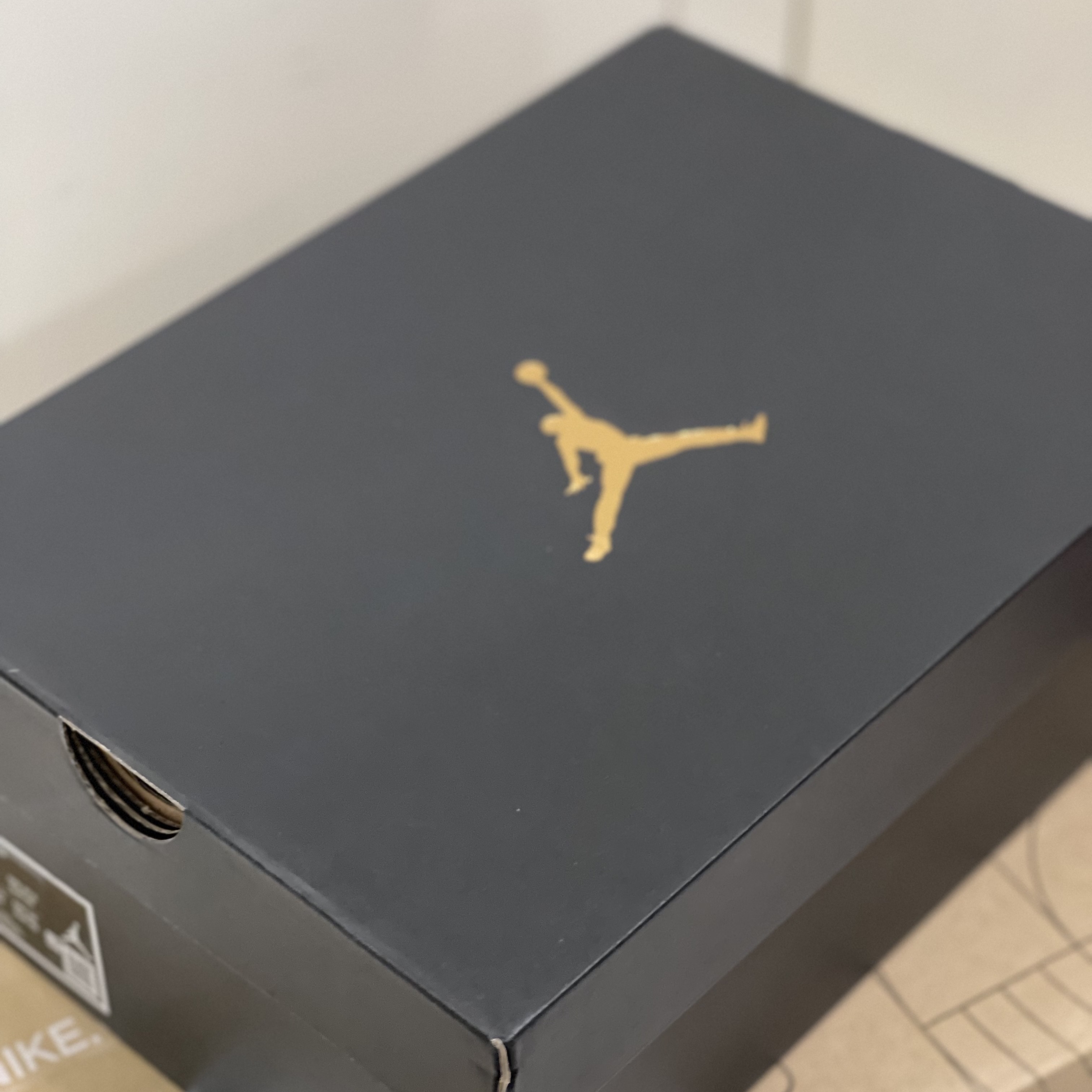 Jordan 1 Low Golf Wolf Grey 착용 스타일 - 2