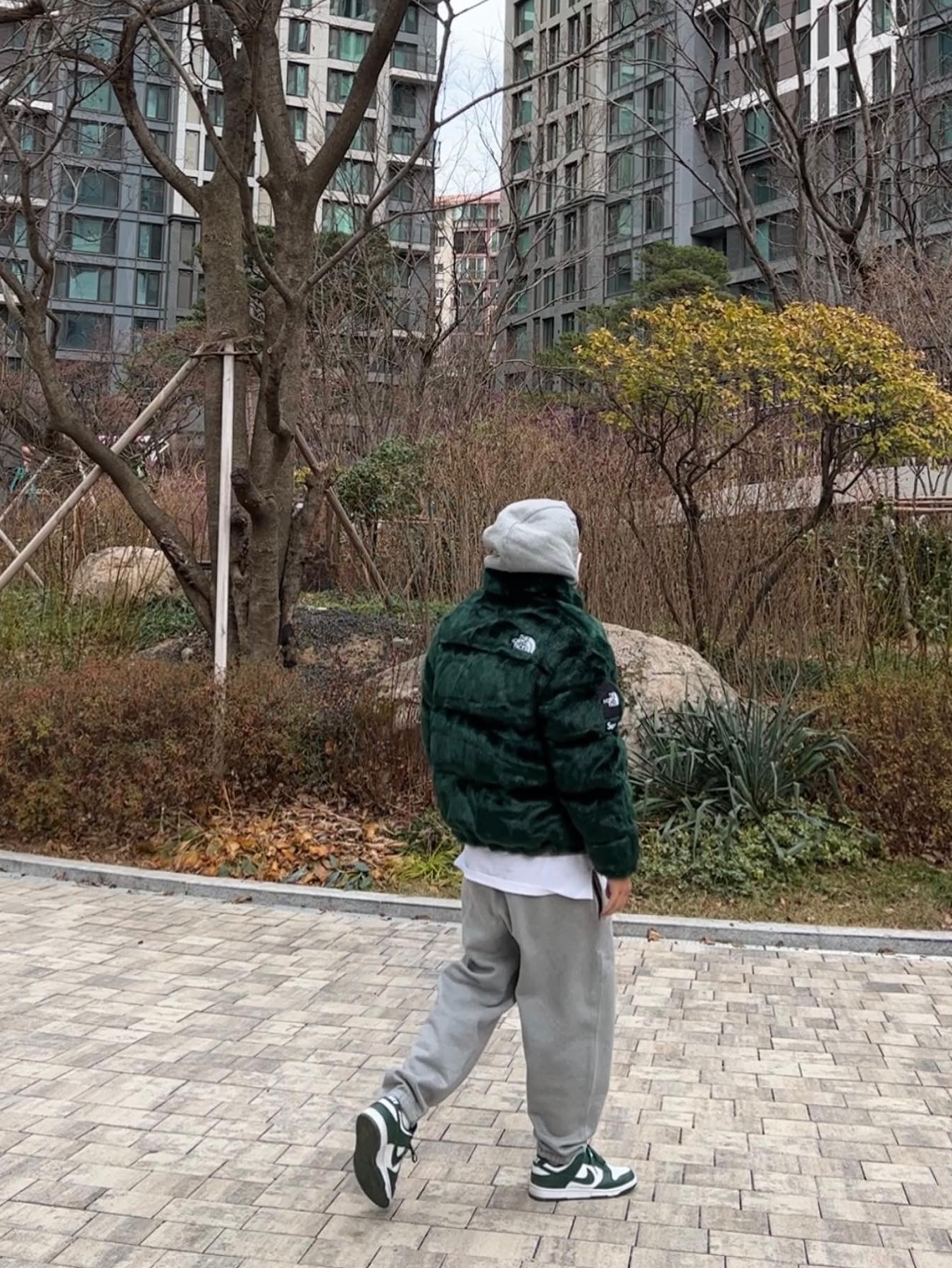 Supreme x The North Face Faux Fur Nuptse Jacket Green - 20FW, Nike Dunk Low Retro Varsity Green 착용 스타일