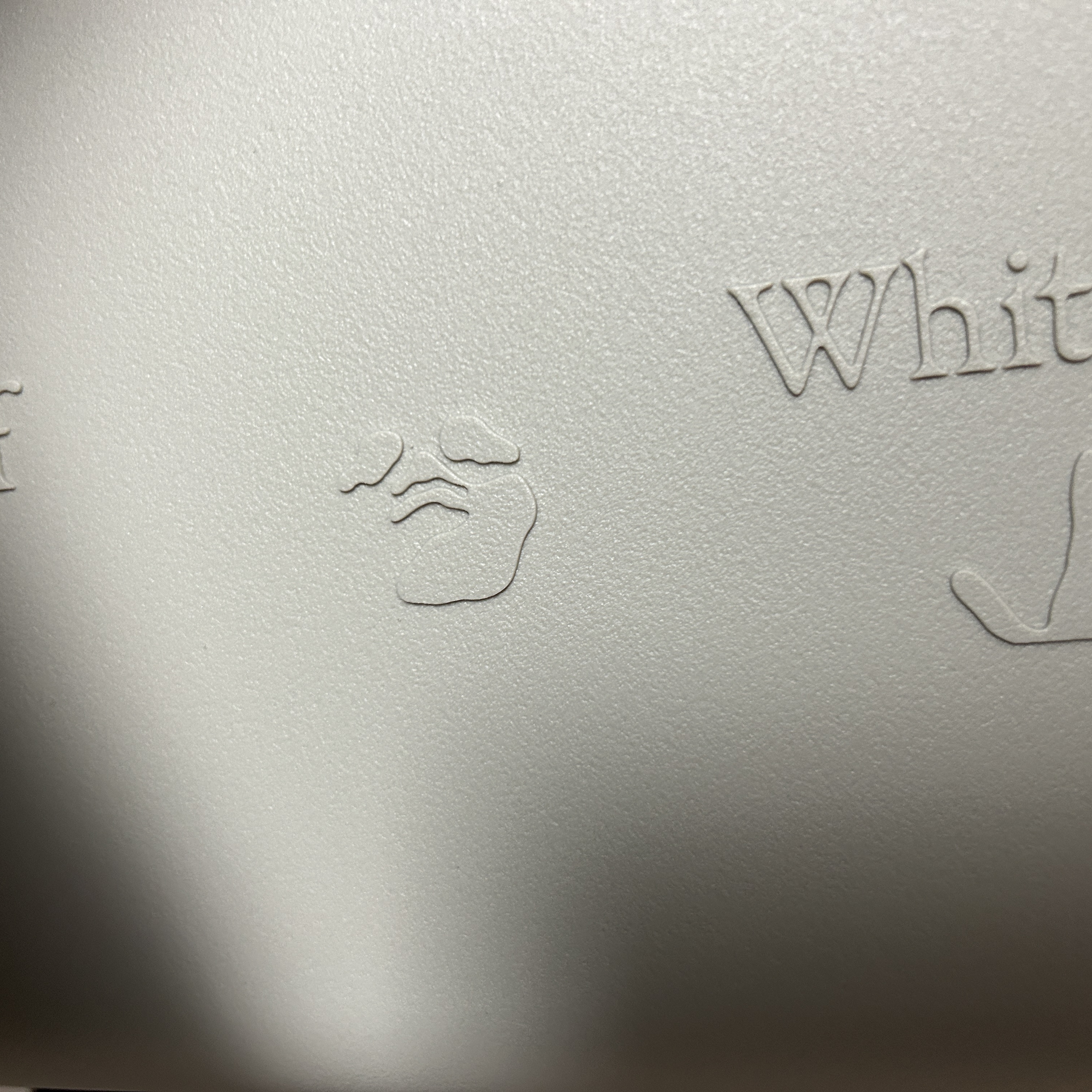 Off-White x Amore Pacific Protection Box (Without Cosmetics) 착용 스타일