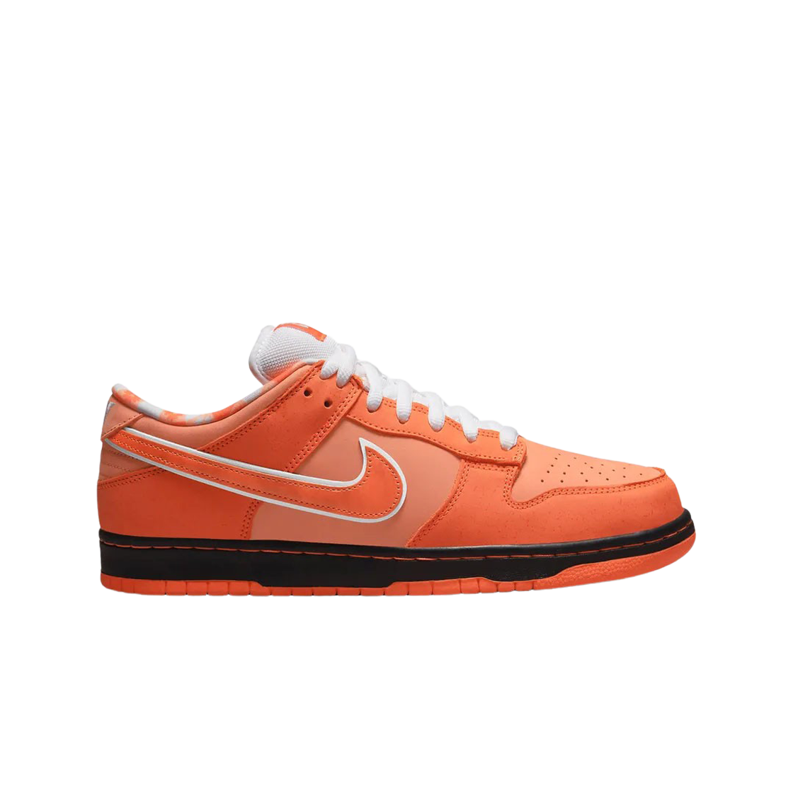 나이키 x 컨셉트 SB 덩크 로우 오렌지 랍스터 (레귤러 박스)(Nike x Concepts SB Dunk Low Orange Lobster (Regular Box))