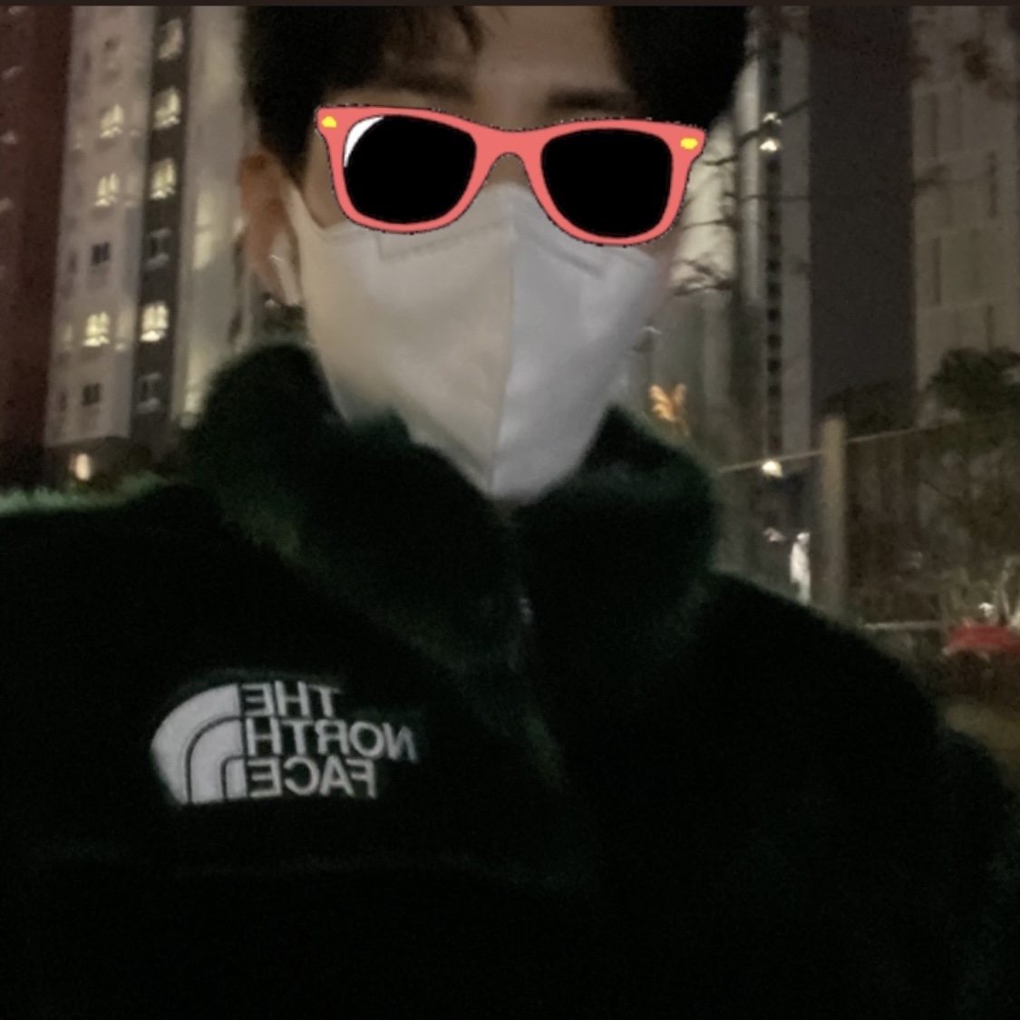 Supreme x The North Face Faux Fur Nuptse Jacket Green - 20FW 착용 스타일 - 1