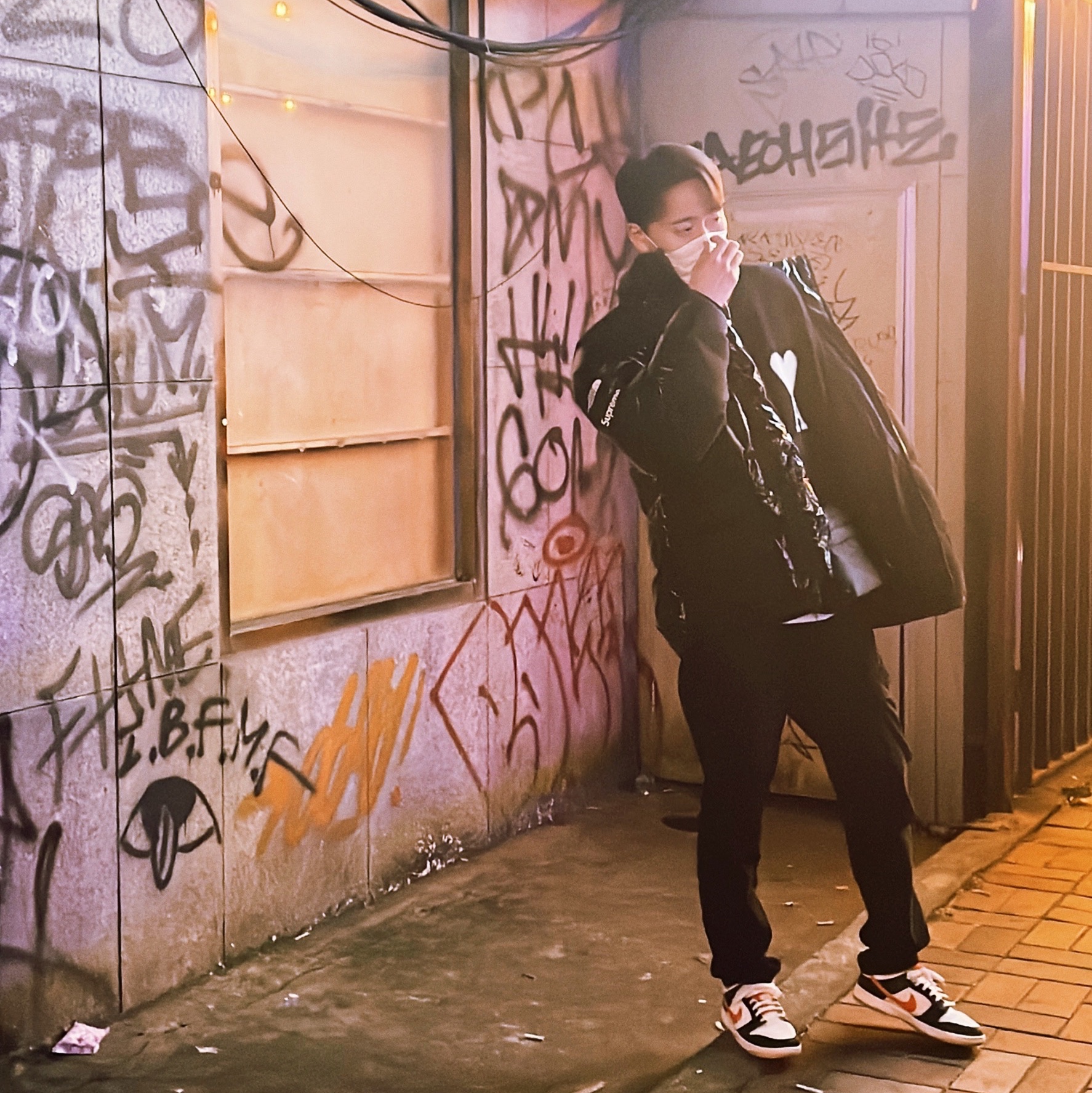 Supreme x The North Face 700-Fill Down Parka Black - 22FW, Nike Dunk Low Retro PRM Halloween 착용 스타일