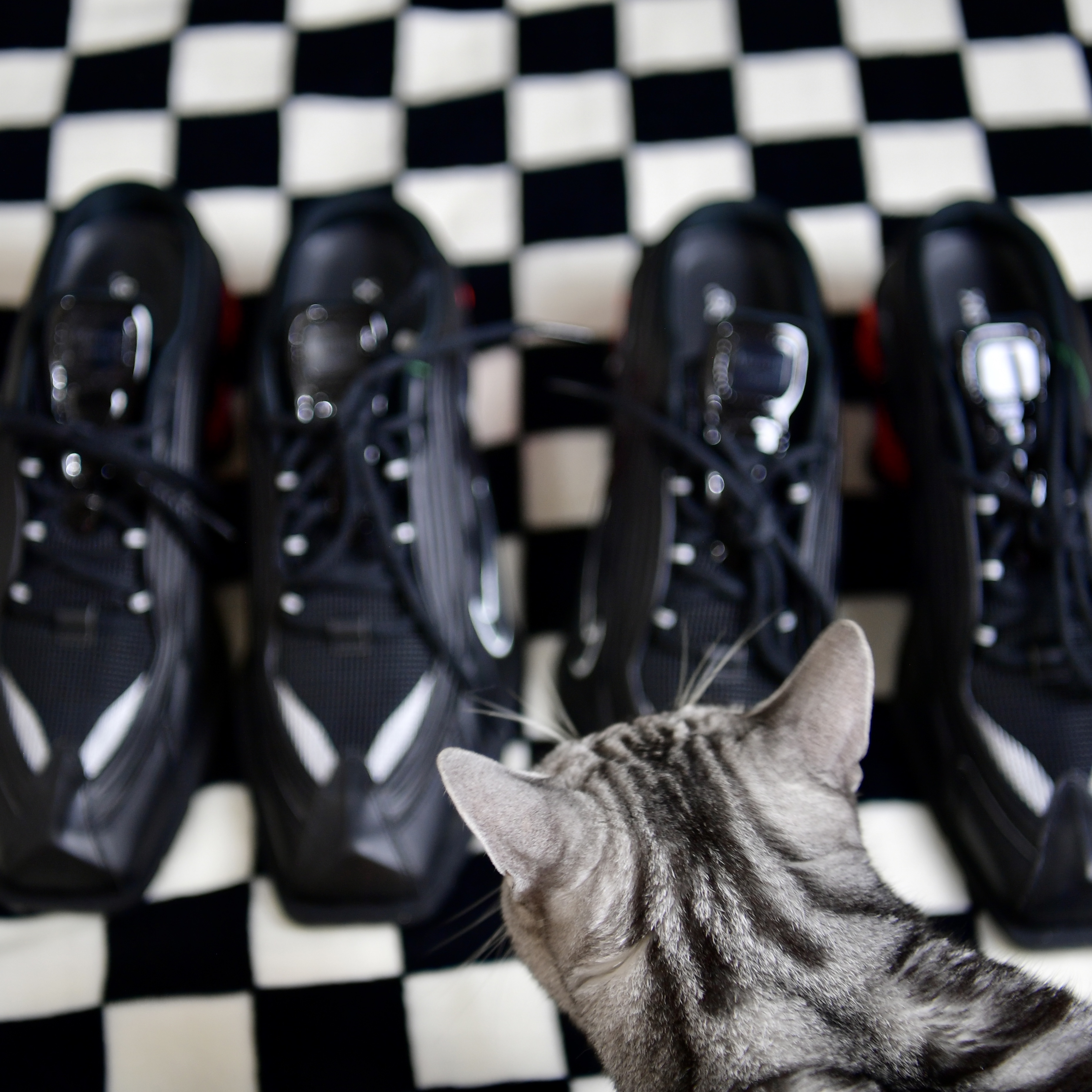 Nike x Martine Rose Shox MR4 Black 착용 스타일 - 2