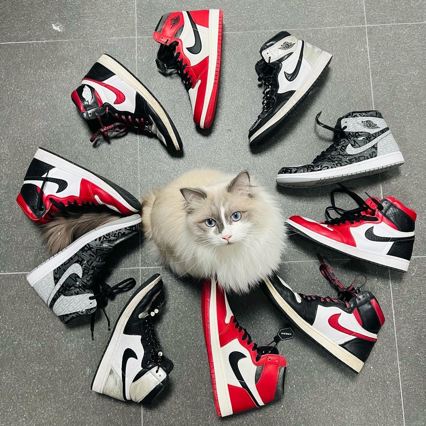 Jordan 1 Retro High OG Chicago 2022, Jordan 1 Retro High OG Gym Red 착용 스타일 - 1