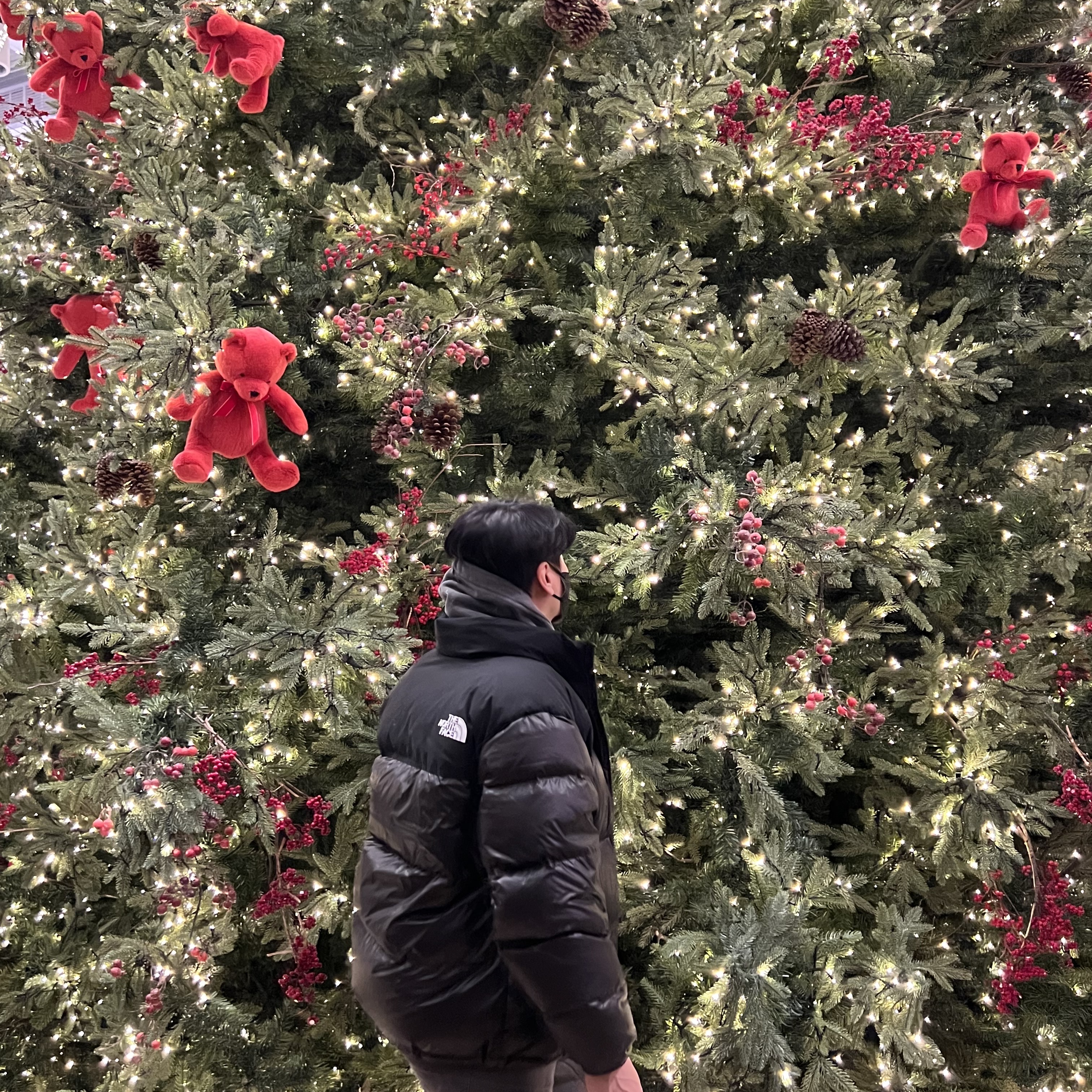 IG : roadfencer님의 스타일