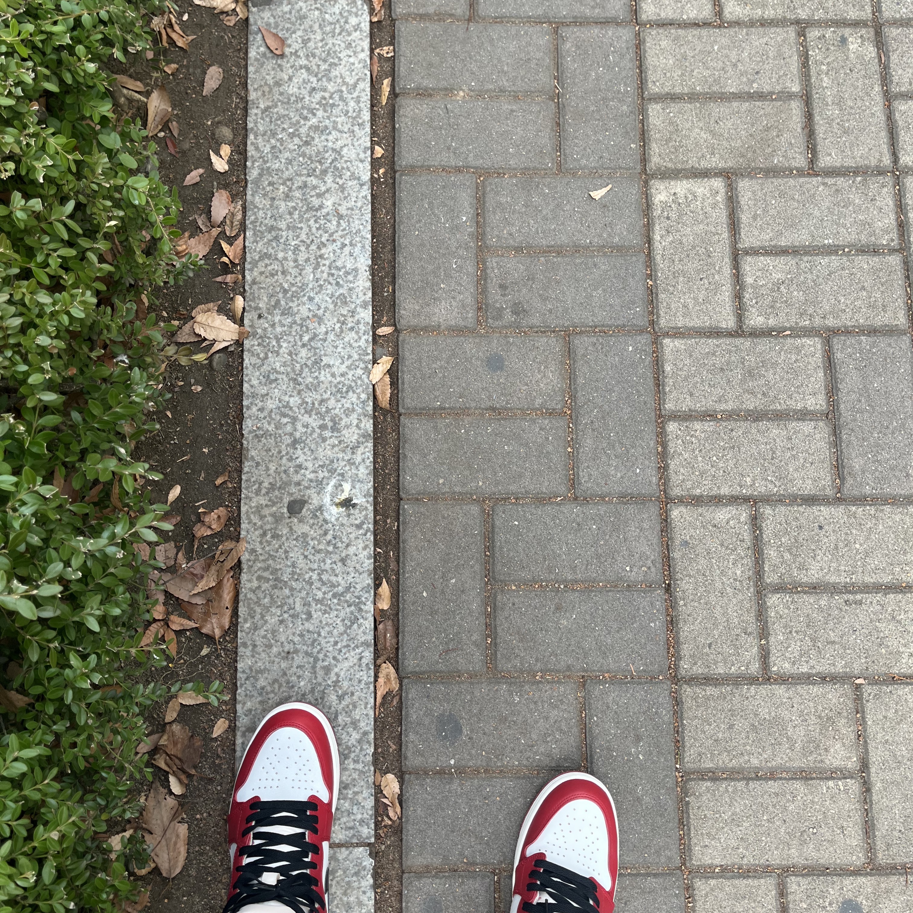 Jordan 1 Retro High OG Chicago 2022 착용 스타일
