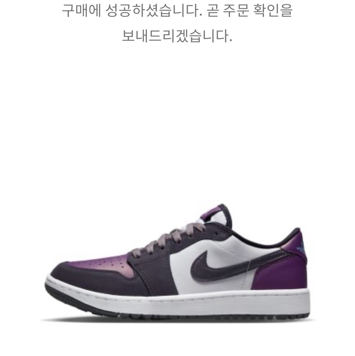 Jordan 1 Low Golf Cave Purple and Viotech 착용 스타일