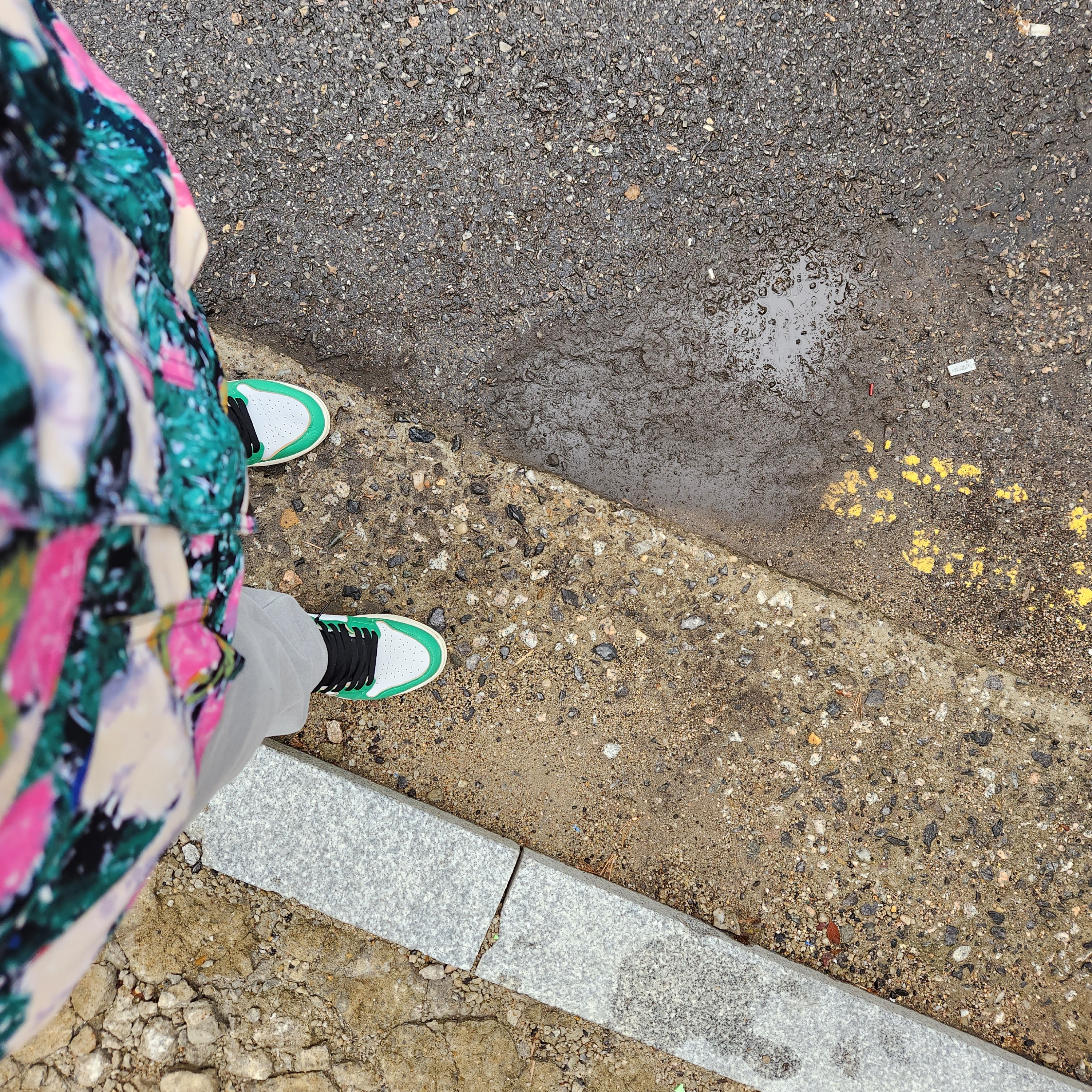 Supreme x The North Face Trekking Convertible Jacket Flowers - 22SS, (W) Jordan 1 Retro High OG Lucky Green 착용 스타일