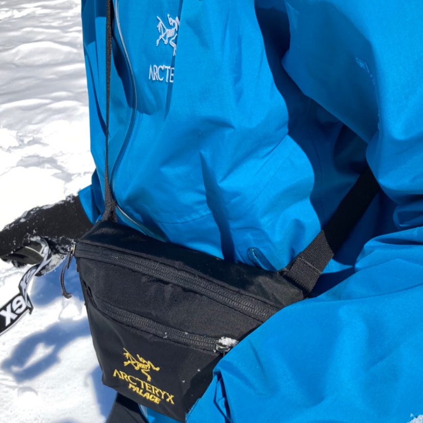 Arc'teryx Beta Jacket Fluidity, Palace x Arc'teryx Mantis 1 Waistpack - 20FW 착용 스타일