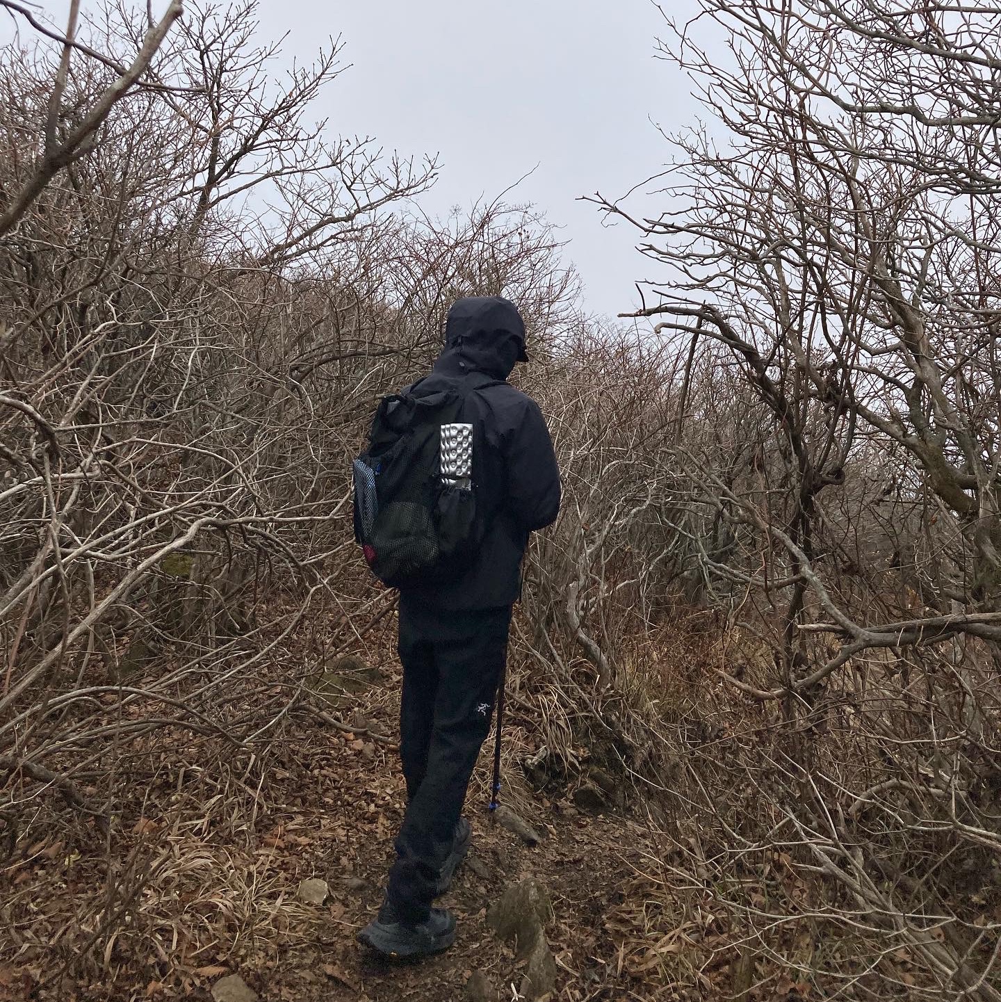 Arc'teryx Beta Jacket Black, Arc'teryx Gamma AR Pants Black 착용 스타일
