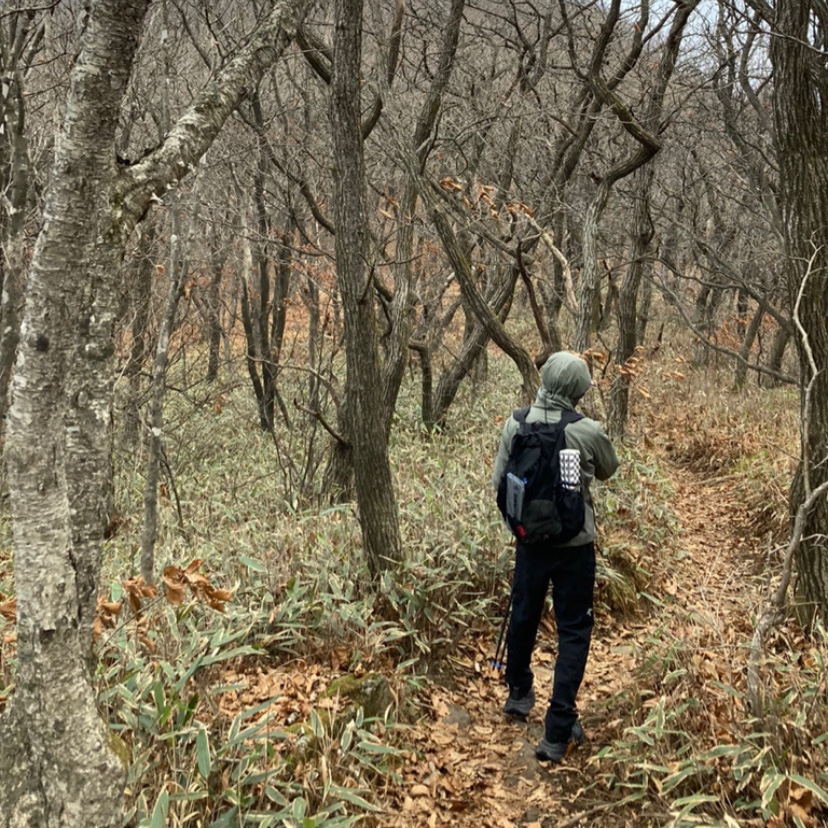 Arc'teryx Atom LT Hoody Forage, Arc'teryx Gamma AR Pants Black 착용 스타일
