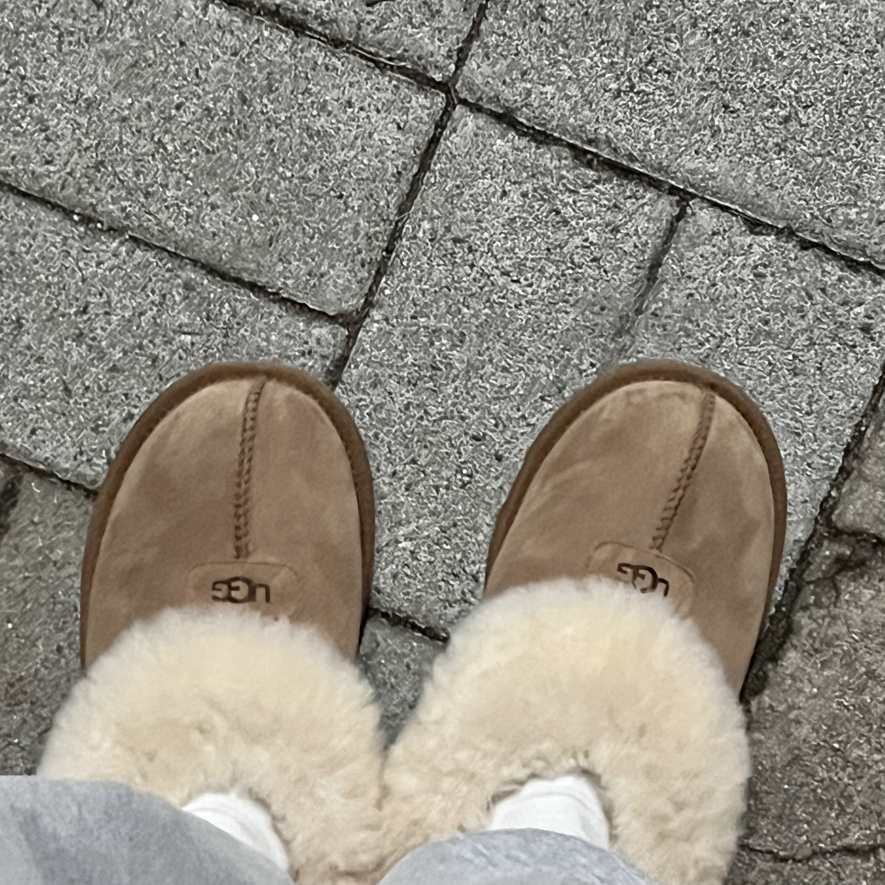 (W) UGG Coquette Slipper Chestnut 착용 스타일 - 2