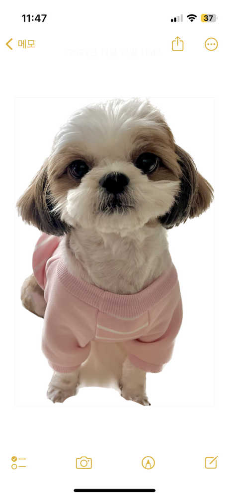 KREAM 프로필 이미지