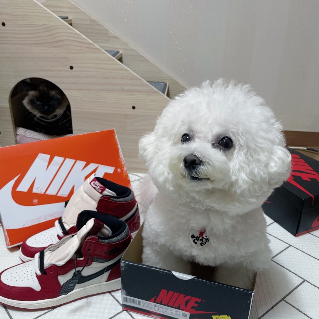 (GS) Jordan 1 Retro High OG Chicago 2022 착용 스타일