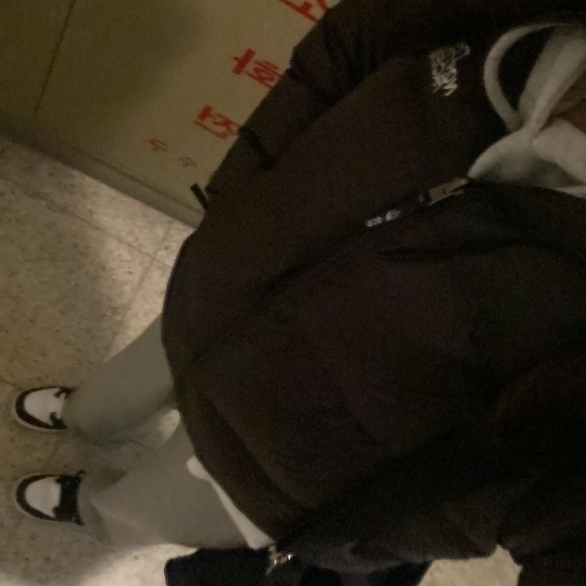 Jordan 1 Low Black Particle Grey, The North Face 1996 Eco Nuptse Jacket Black 착용 스타일