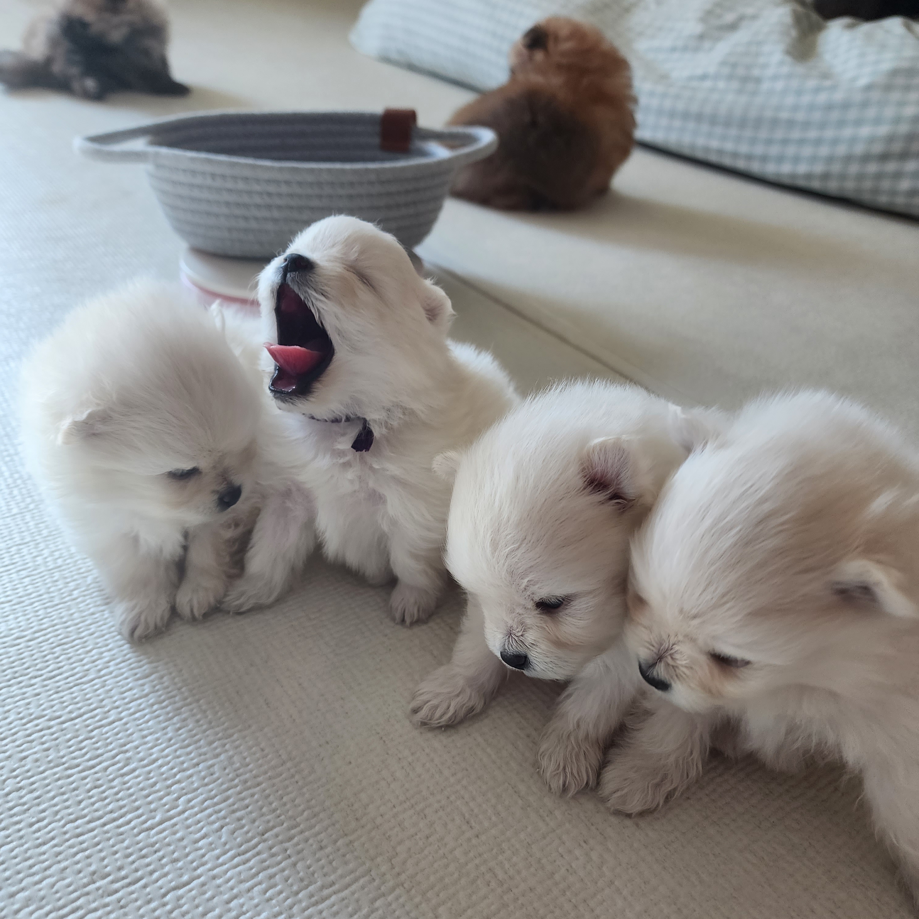 김성록님의 스타일
