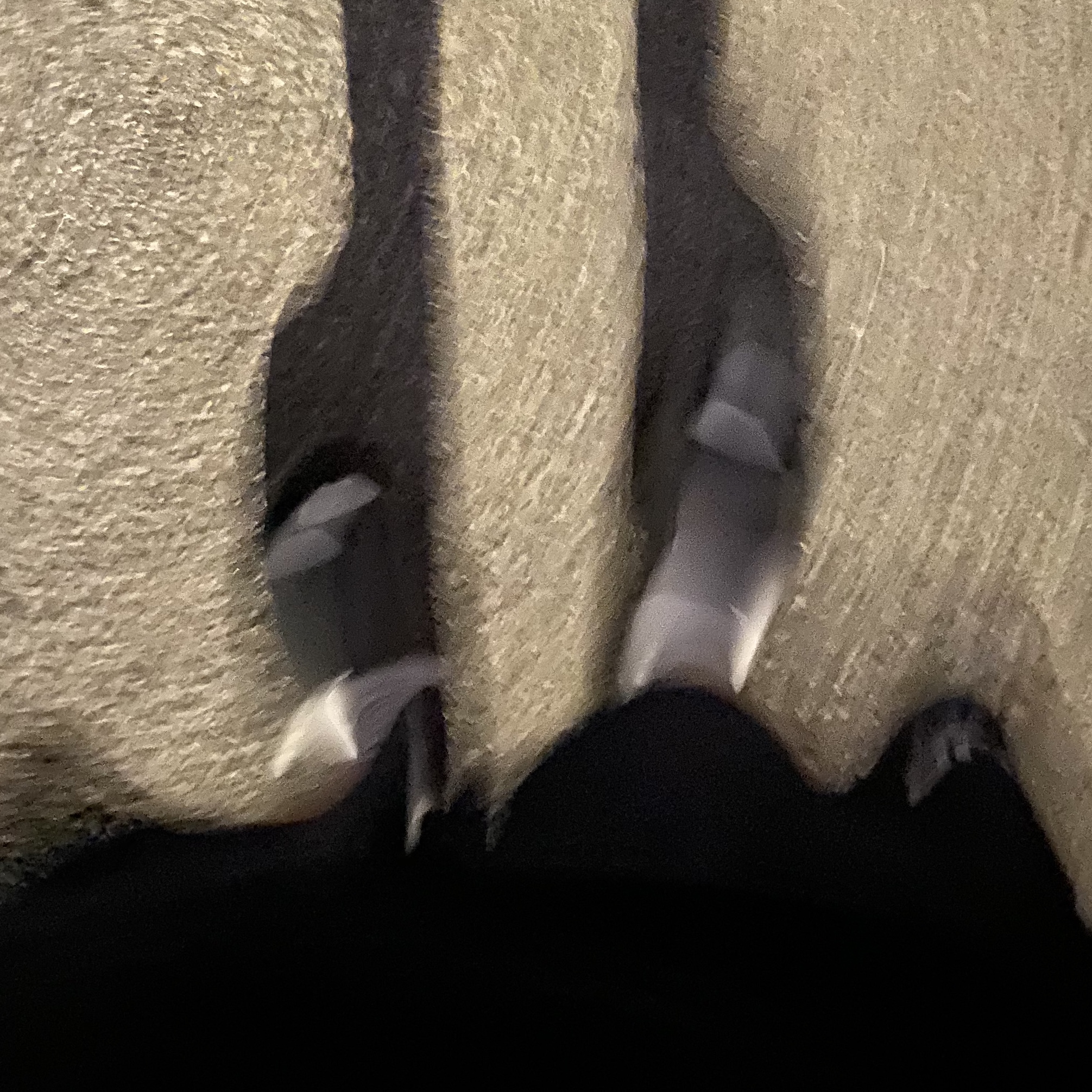 Adidas Yeezy Slide Onyx 착용 스타일 - 3