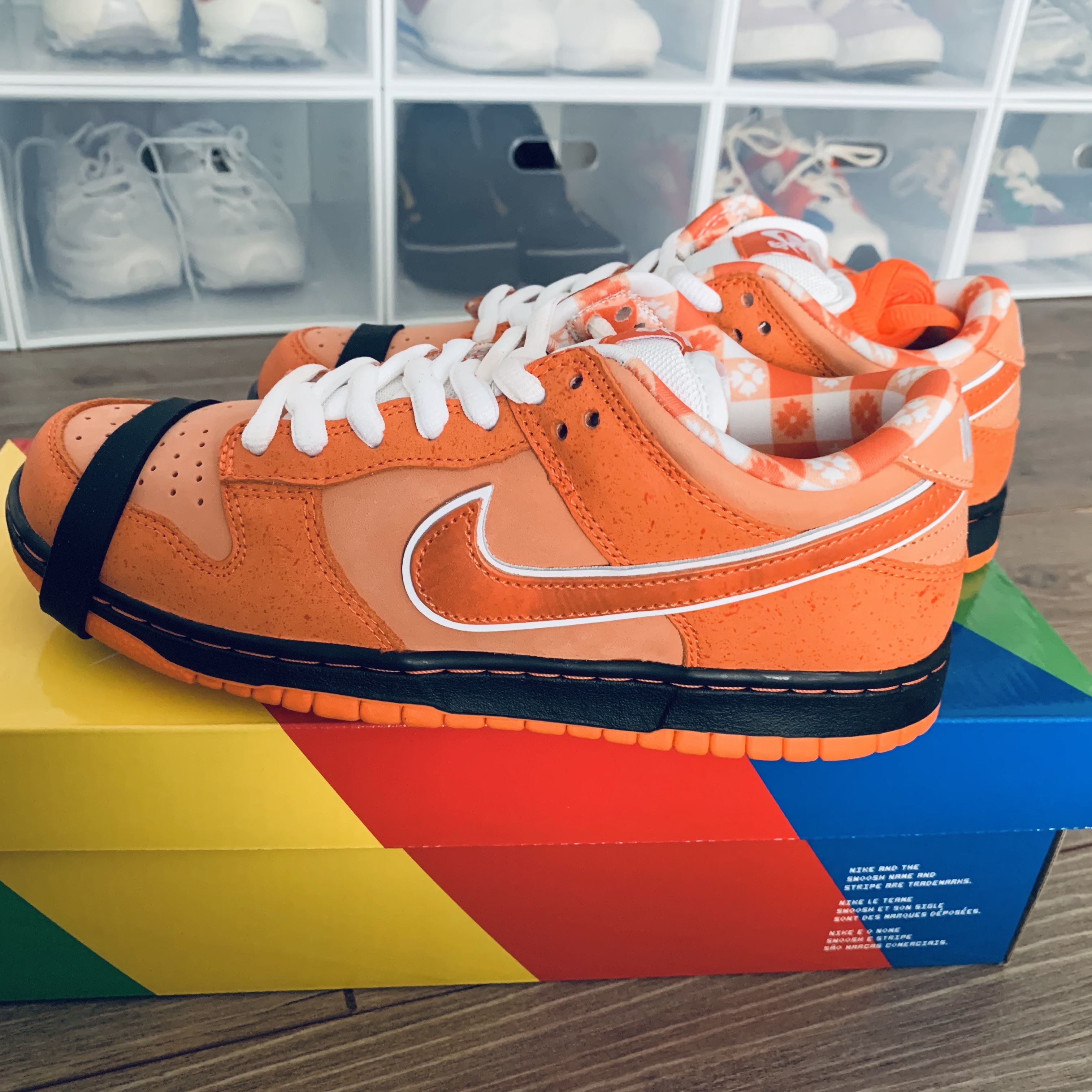 Nike x Concepts SB Dunk Low Orange Lobster (Regular Box) 착용 스타일